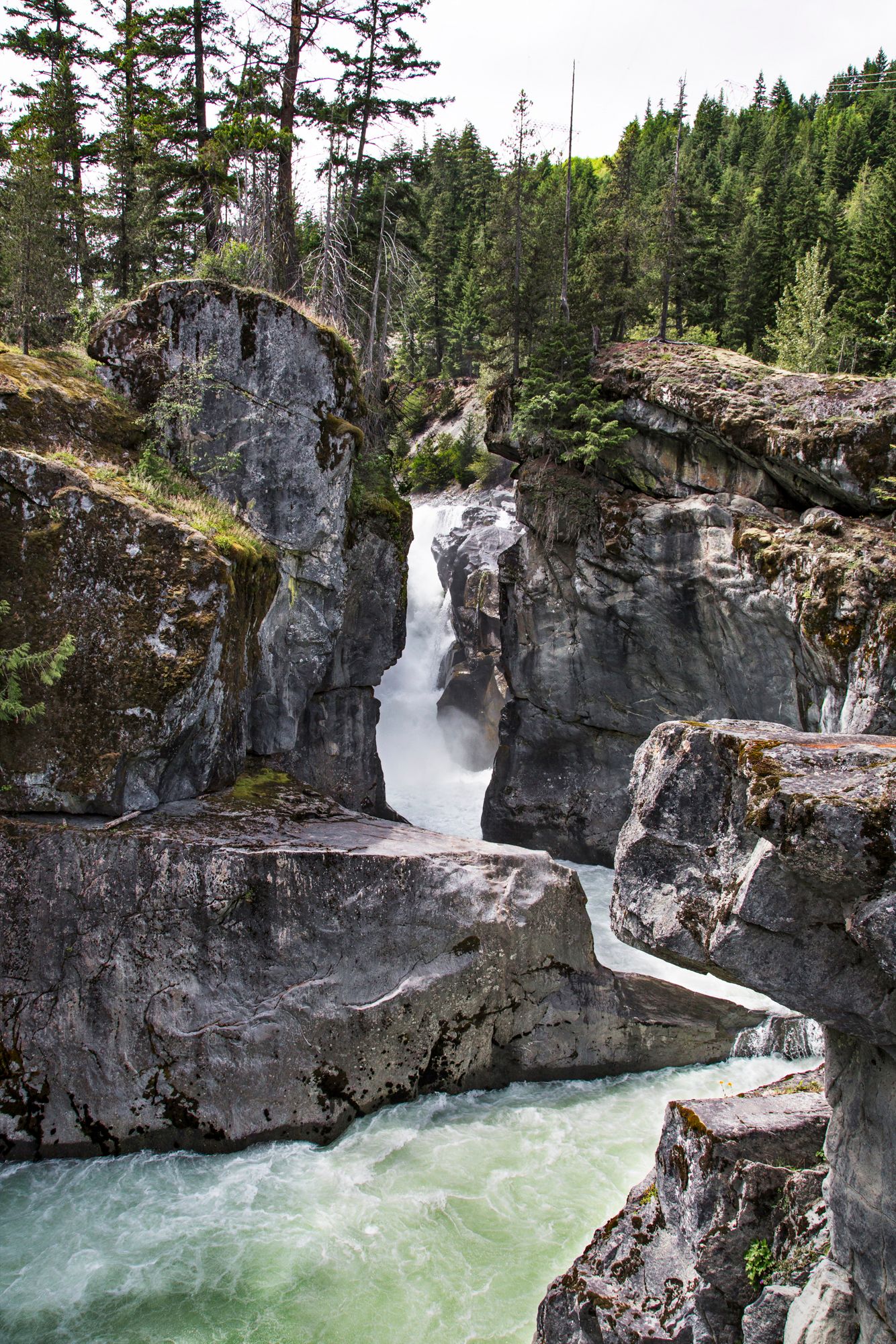 Dramatic waterfall tumbling through rocky canyon with emerald waters and pine forest.
