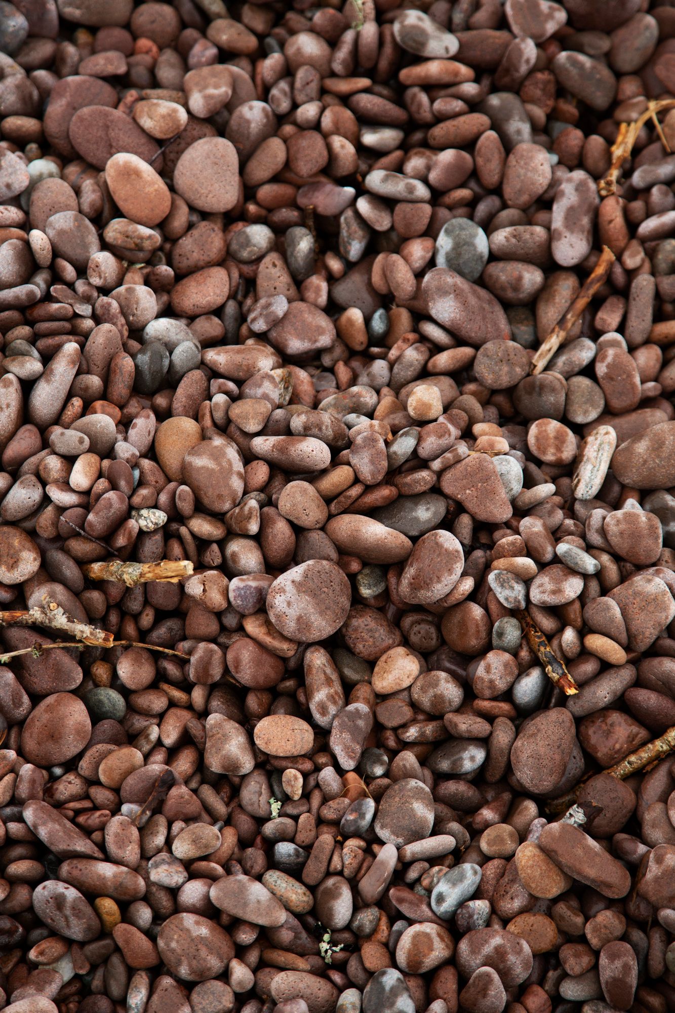 Close-up view of smooth brown river rocks and pebbles creating a natural textural pattern.