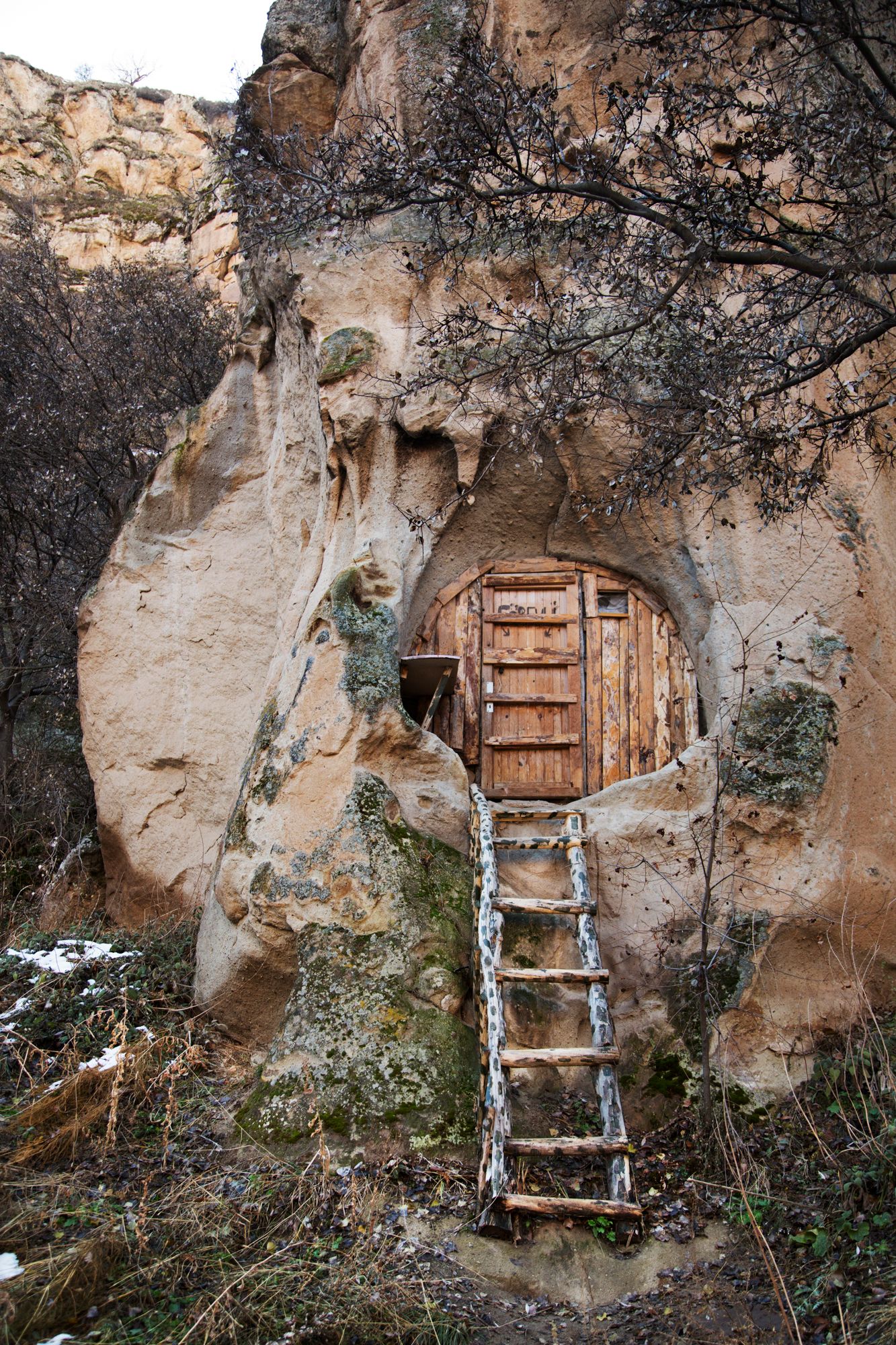 Rustic wooden doors and windows carved into a natural rock face with climbing vegetation.