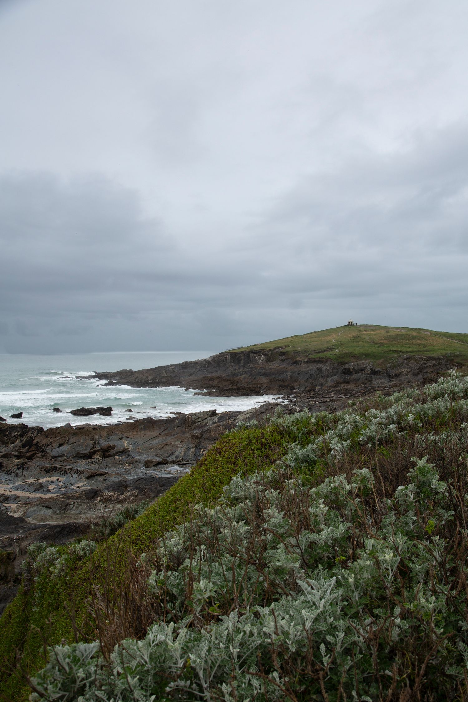 Coastal landscape with green vegetation and rugged cliffs overlooking a choppy ocean.