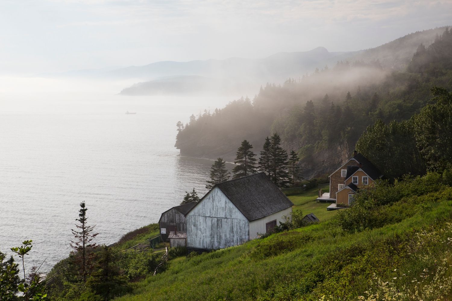 Fog rolls over coastal cliffs with rustic buildings nestled on a green hillside overlooking the misty ocean.