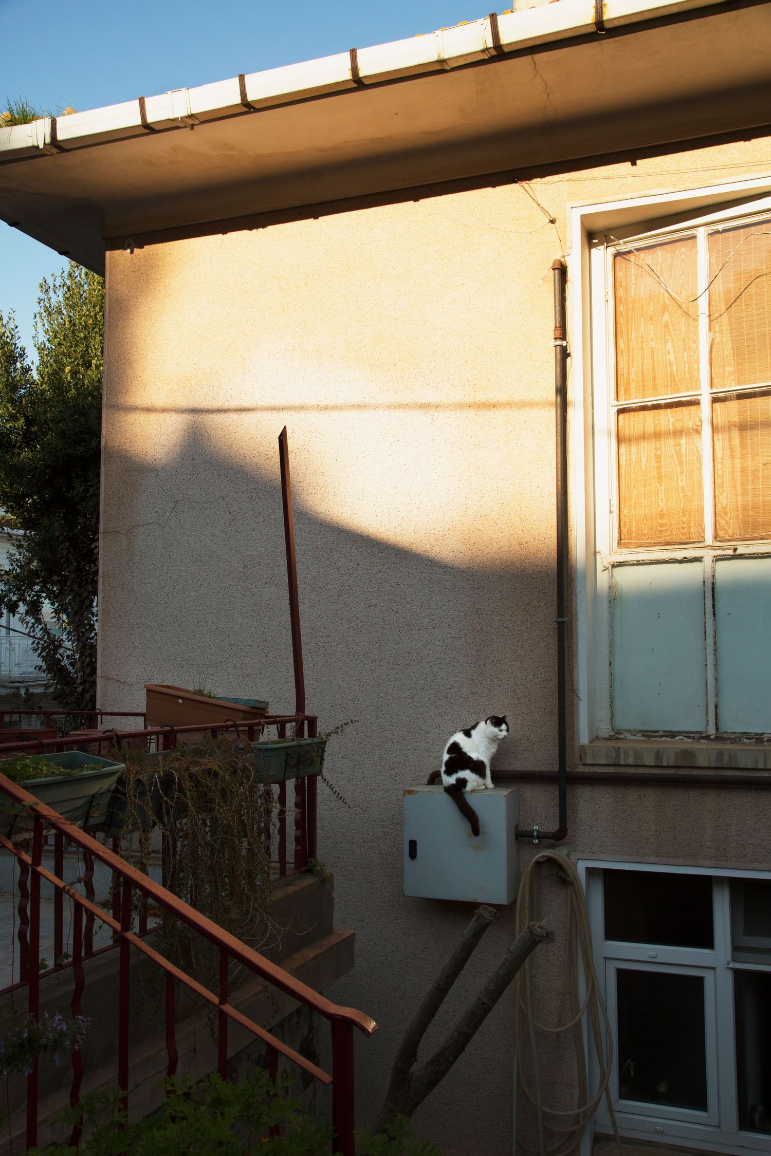 Exterior wall of a building with sunlight casting dramatic shadows at sunset.