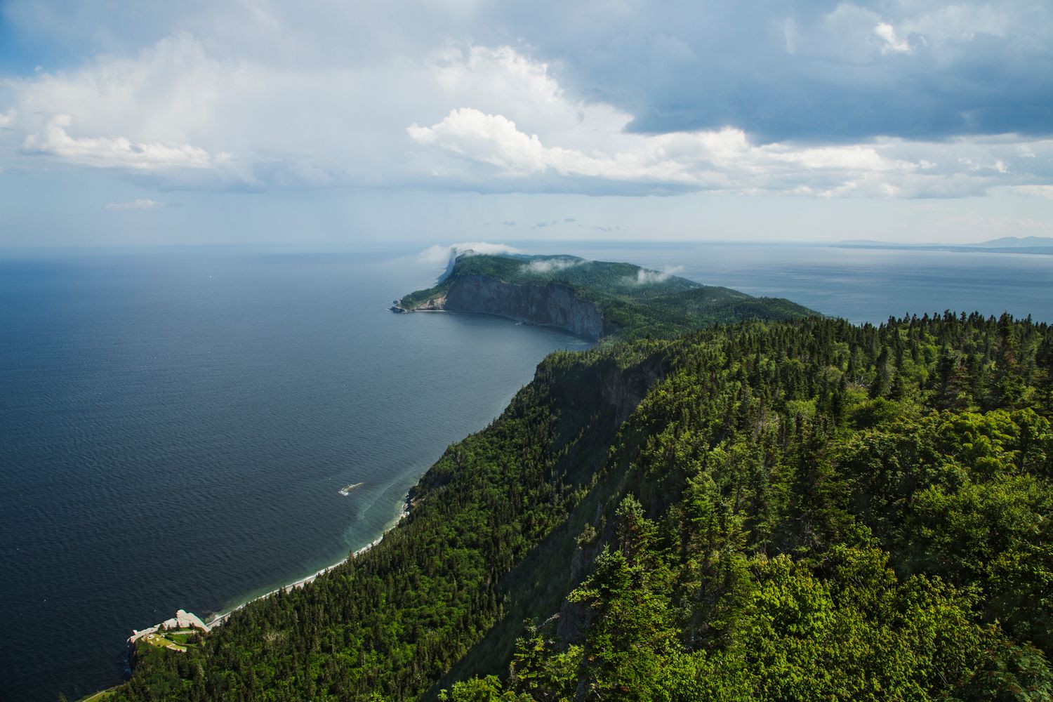 Dramatic coastal cliffs covered in dense forest rise above the blue ocean under cloudy skies.