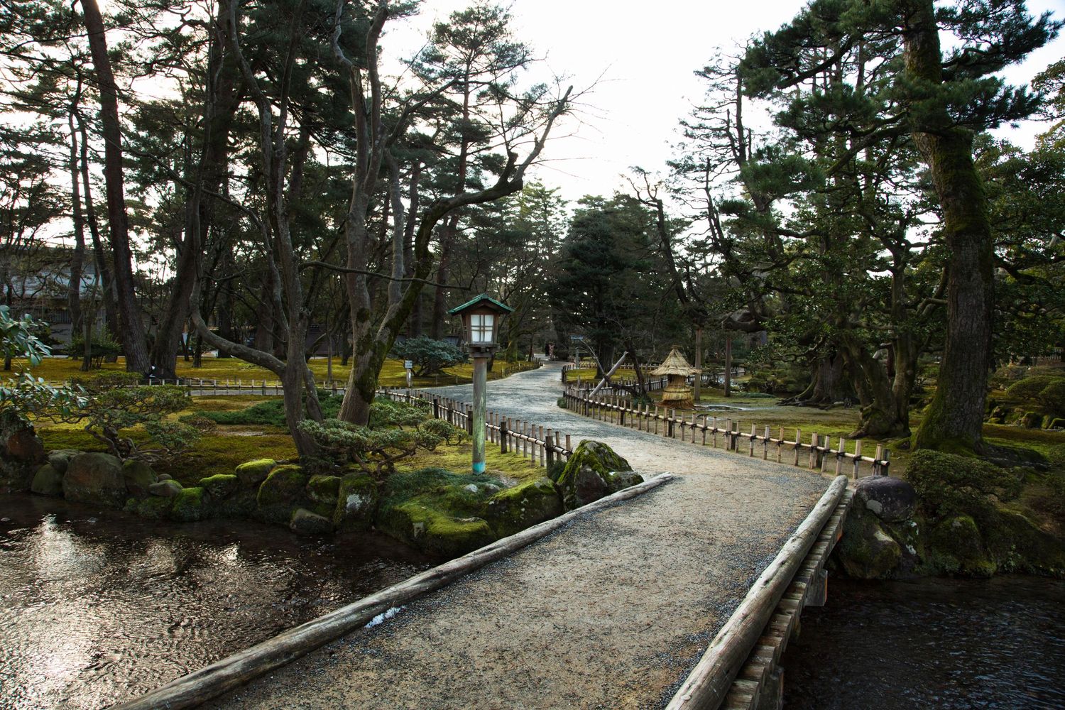 Tree-lined coastal path with benches overlooking a peaceful harbor.