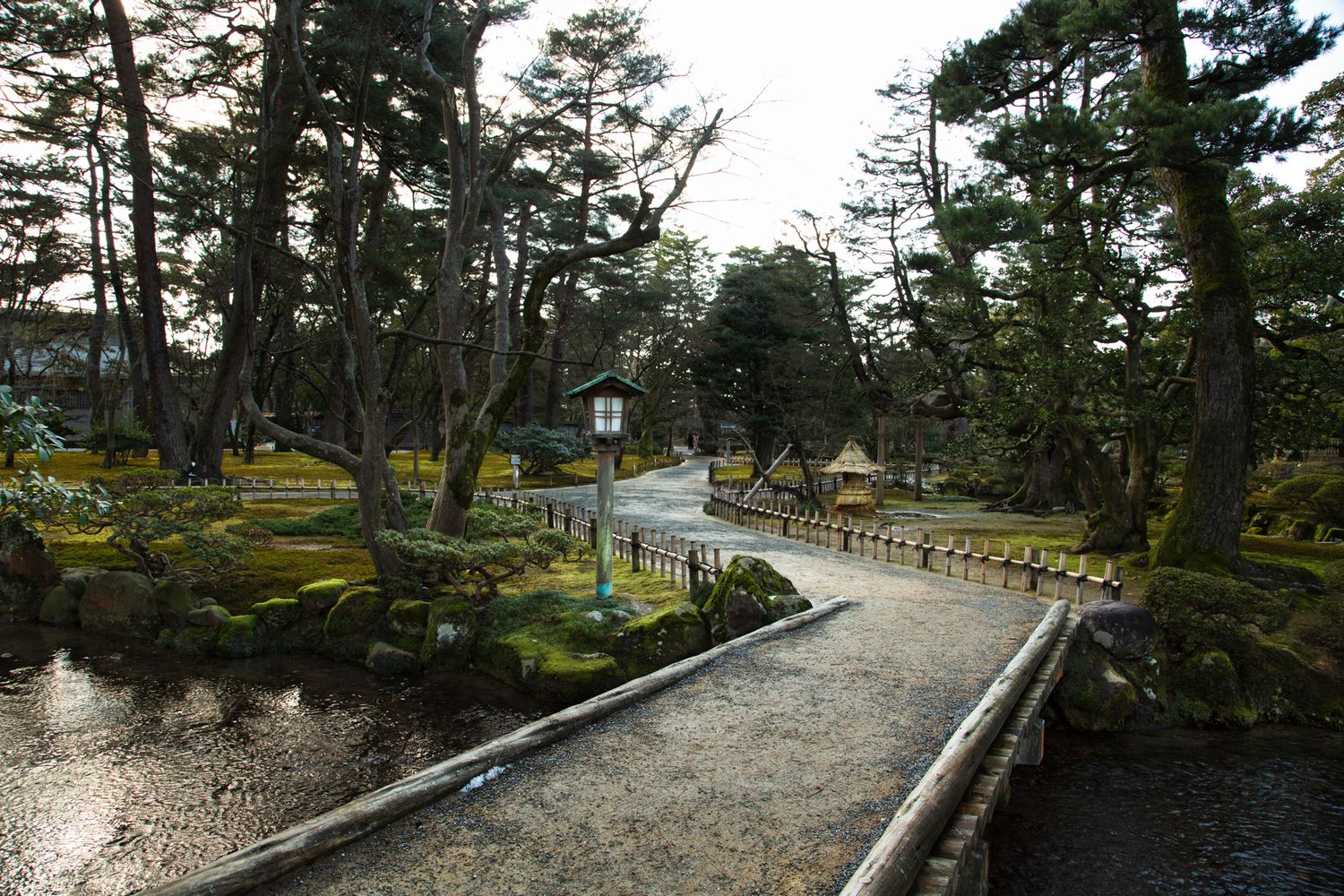 Stone pathway winding through a Japanese garden with traditional lanterns and pine trees.