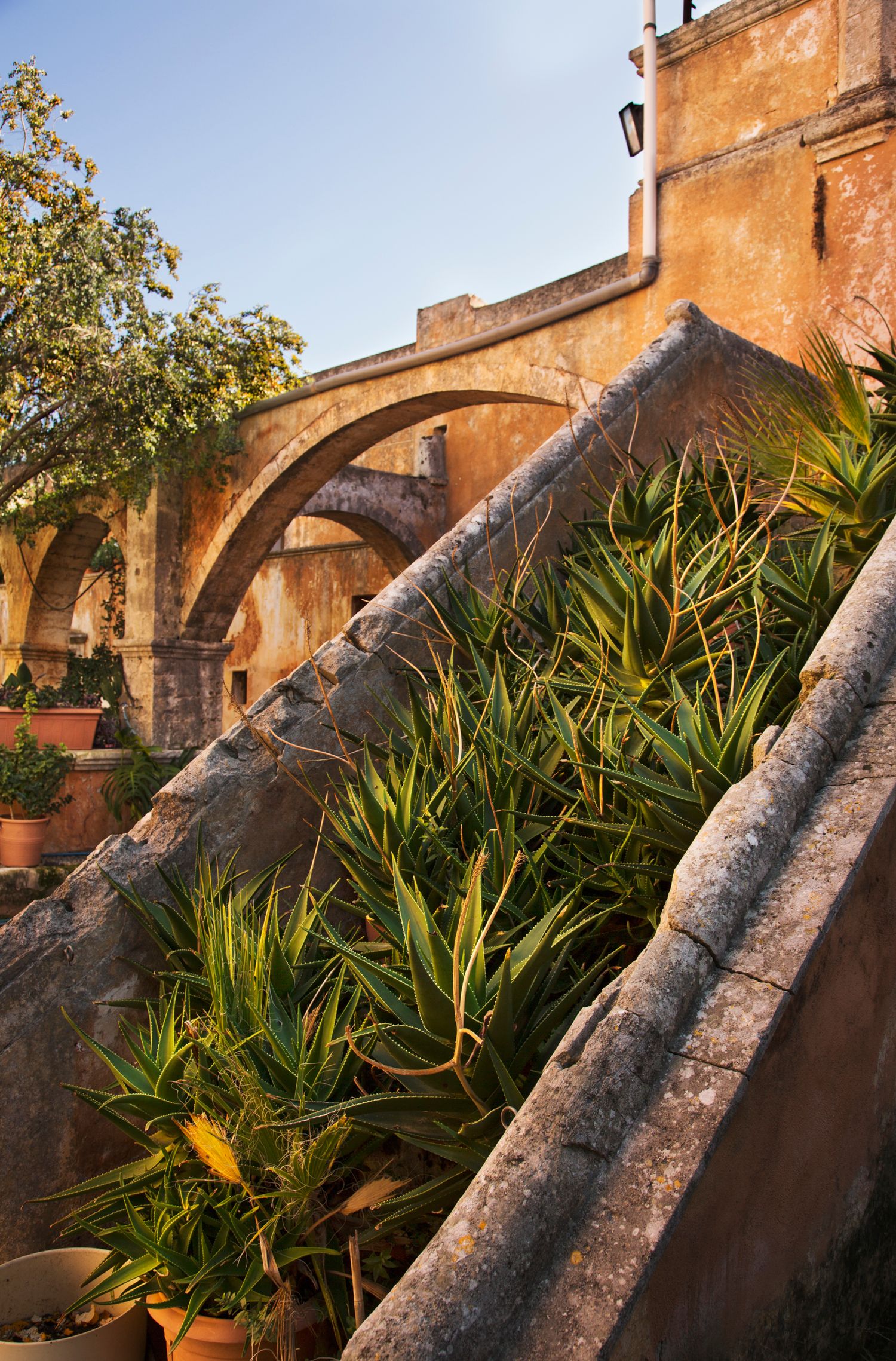 Stone buttresses and tropical plants line an old Mediterranean building with orange-tinted walls.