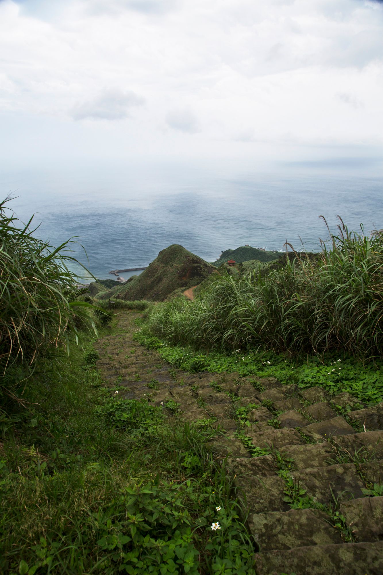 Misty coastal hiking trail winding through tall grass with ocean views in the distance.
