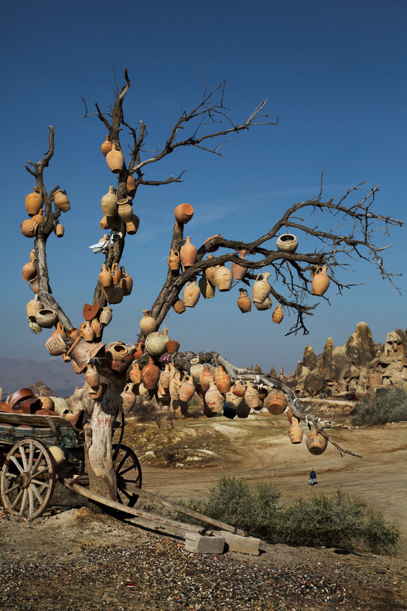 Bare tree branches decorated with hanging clay pots in a desert landscape.