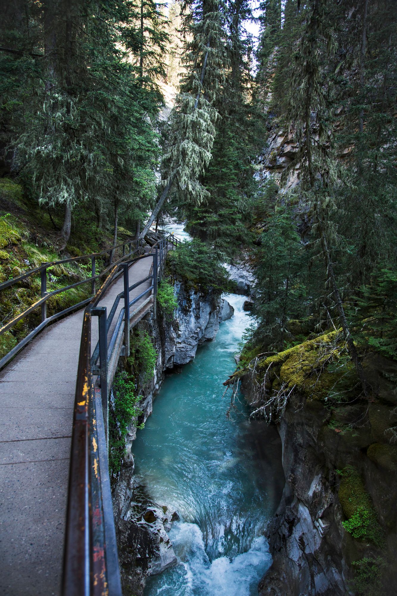 Turquoise river flows through deep canyon with elevated walkway in dense forest.