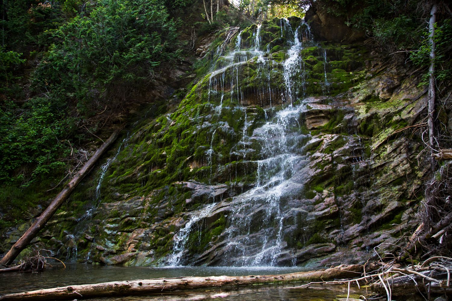 Multi-tiered waterfall cascading over mossy rocks in dense forest.