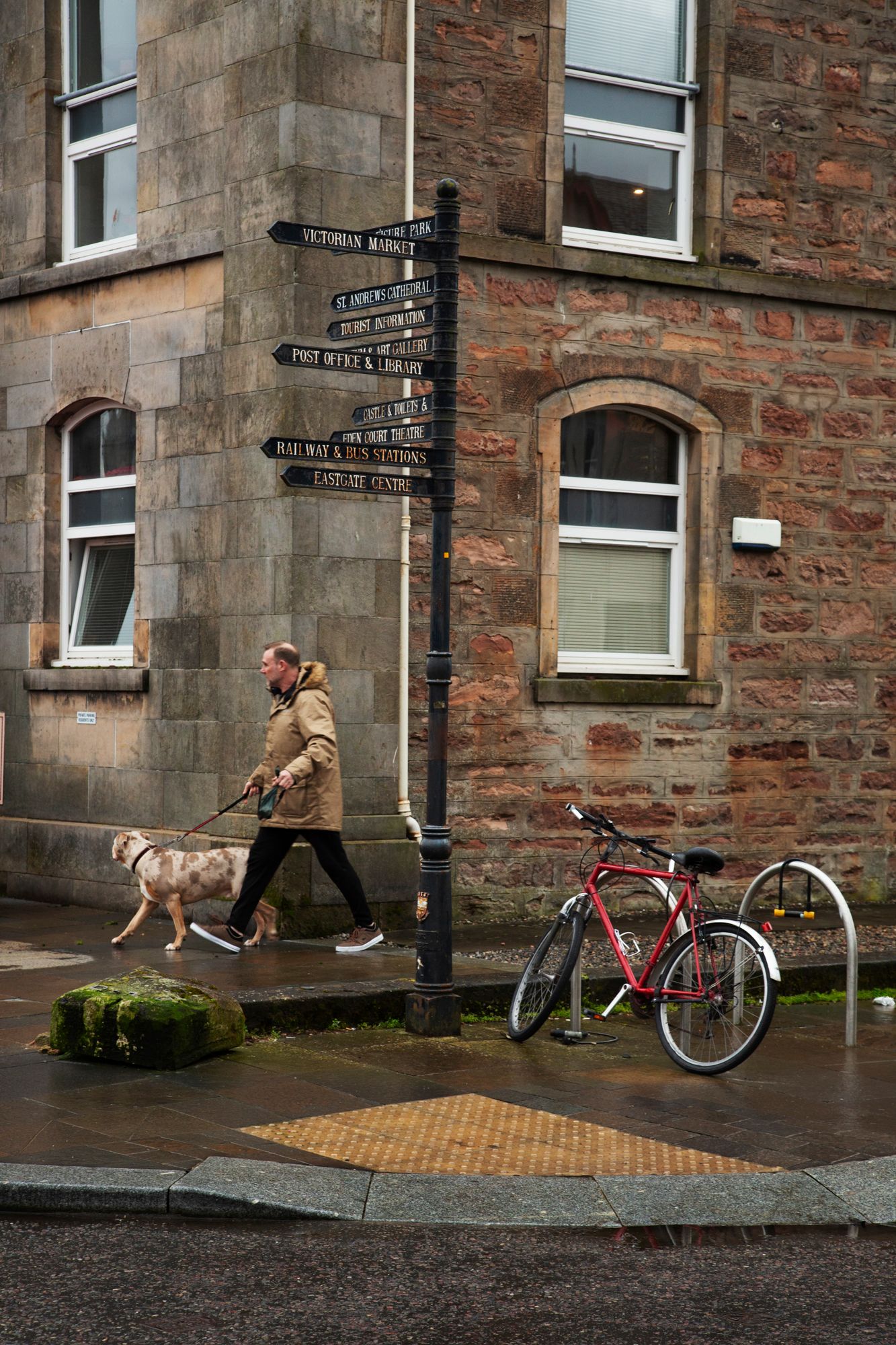 A sequence of photos showing a dog running and playing near a red bicycle parked against a brick building wall.
