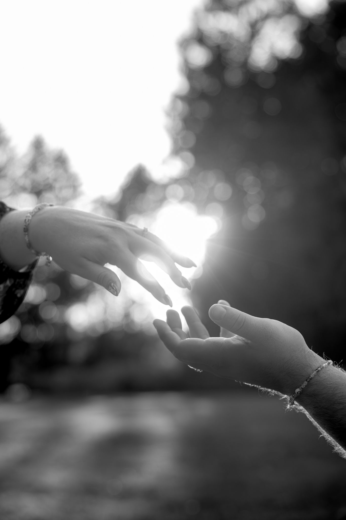 Two hands reaching towards each other in black and white with sunlight and bokeh in the background.