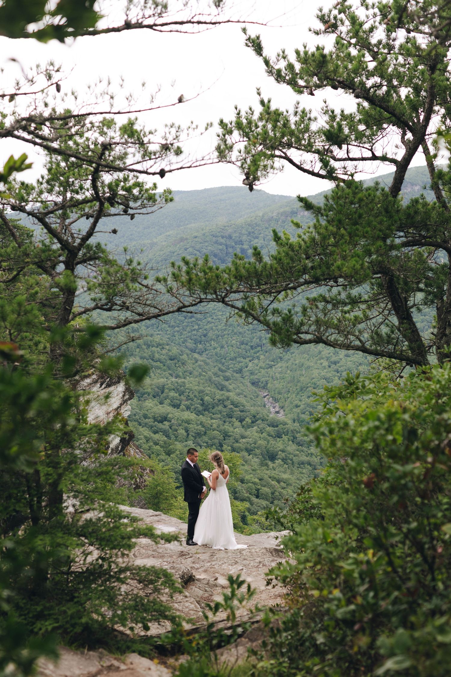 Wedding couple standing on a scenic mountain overlook surrounded by trees and greenery.