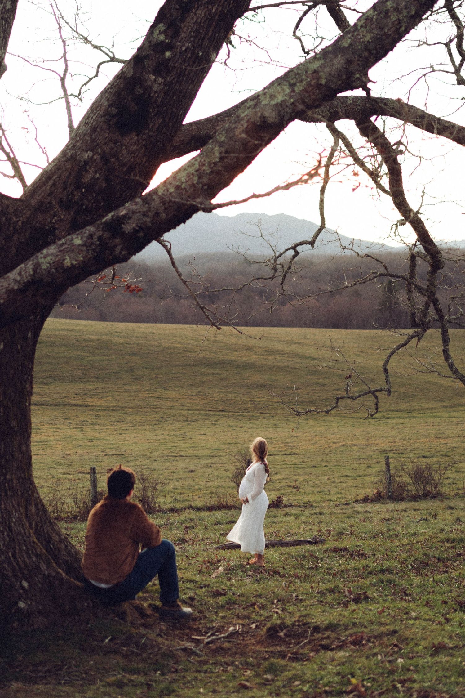 Person in a white dress sits under a large tree in a pastoral field at sunset.