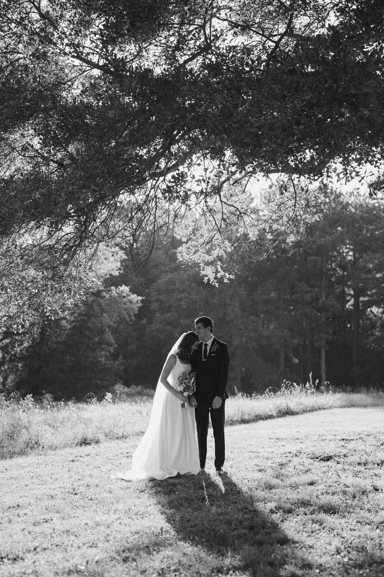 Wedding couple poses in black and white photo under tree canopy in sunlit field.