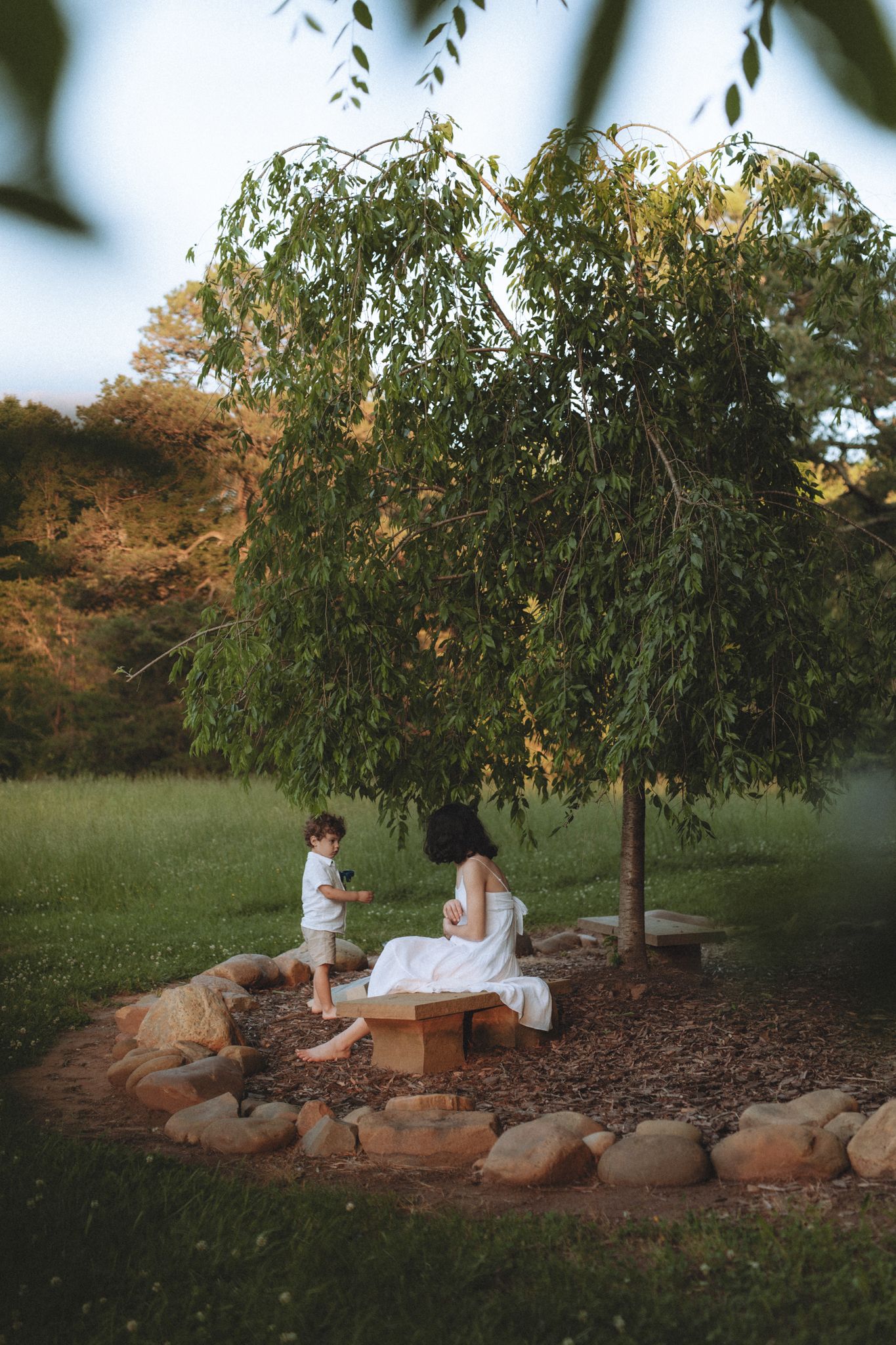 Two figures sitting under a weeping willow tree on a stone bench in a peaceful garden setting.