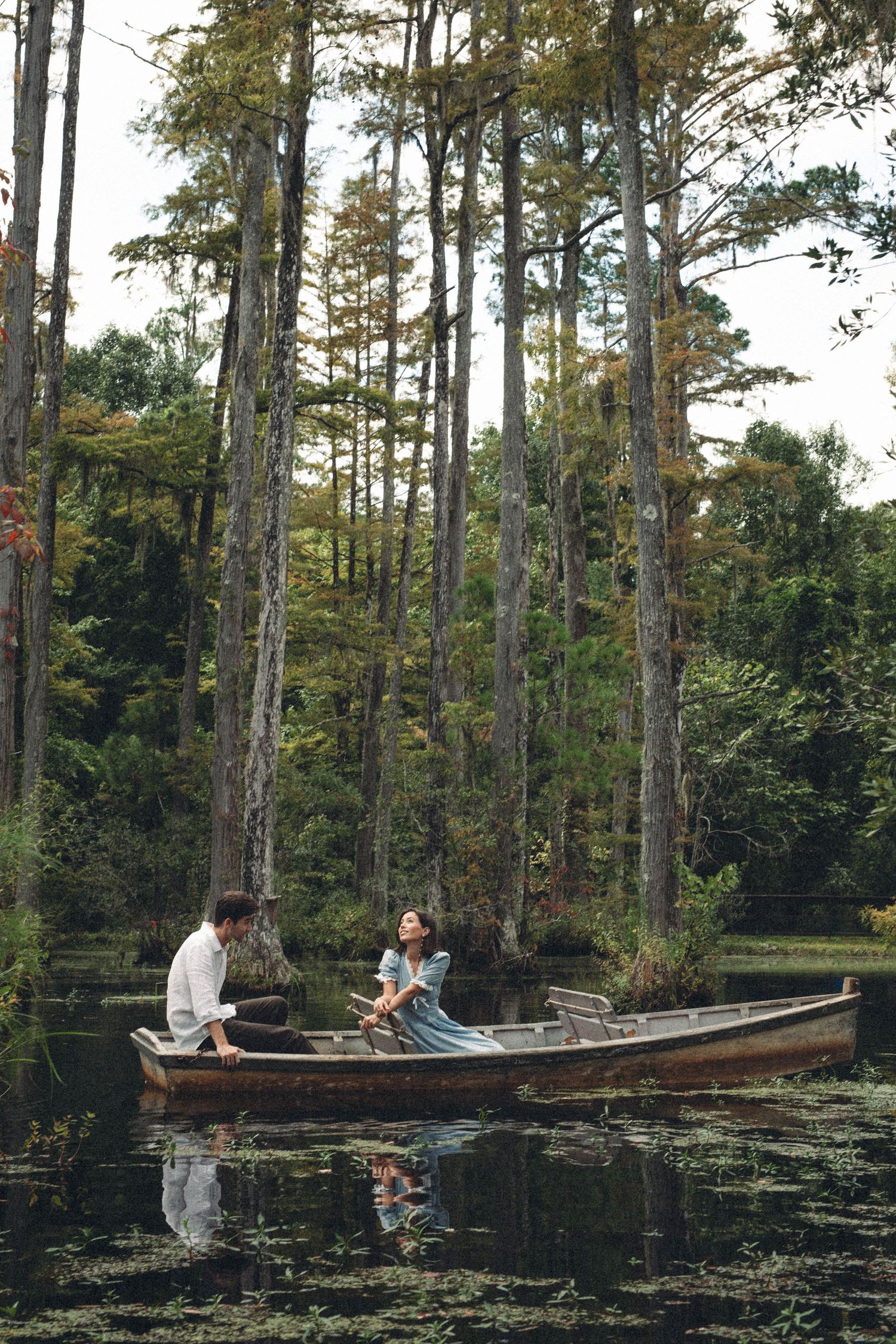 A romantic boat ride through a cypress tree-lined swamp.