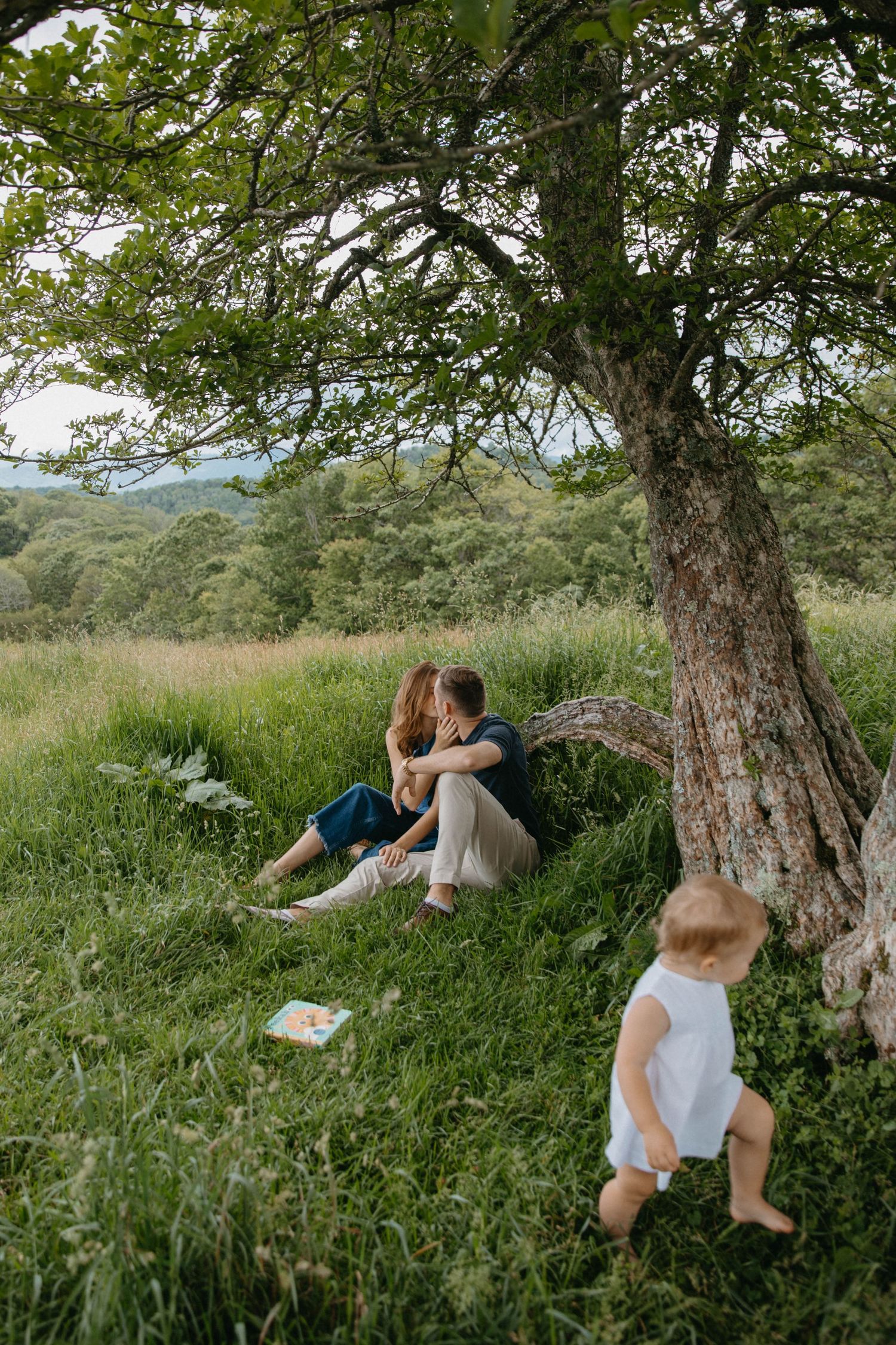 A couple sits together under a large tree in a lush green meadow reading a book on a summer afternoon.