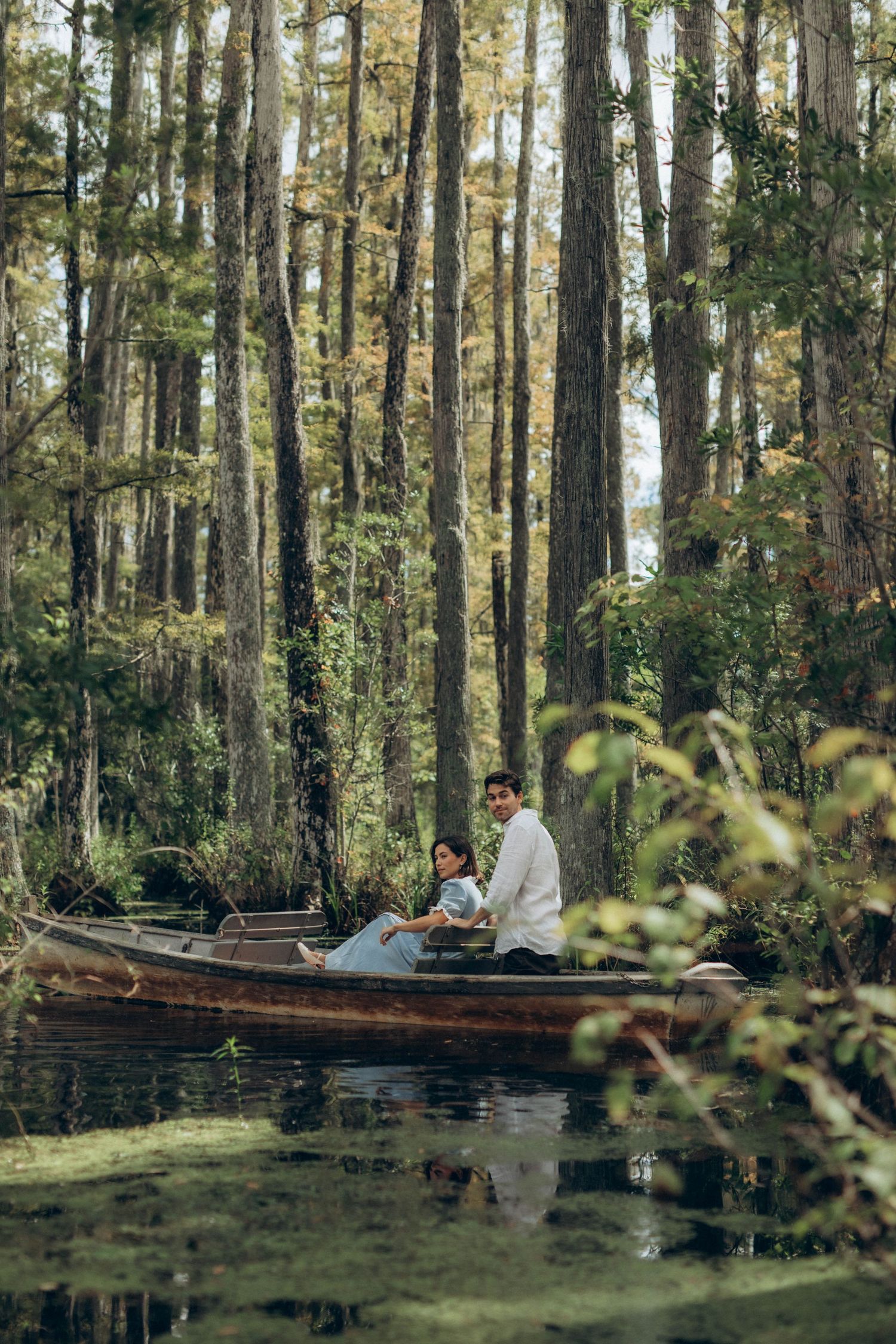 People relaxing on wooden benches in a serene pine forest setting.