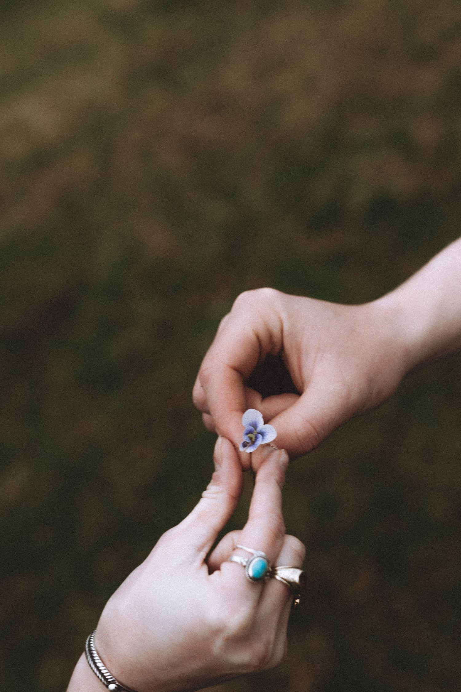 Close-up of hands wearing multiple decorative rings against dark background.