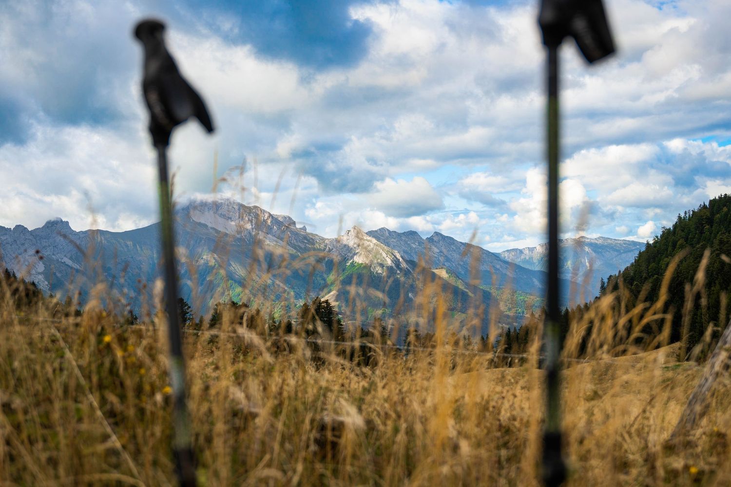 Une vue sur des sommets montagneux spectaculaires à travers des bâtons de randonnée et de l'herbe sèche, on aperçoit une mer de nuages.