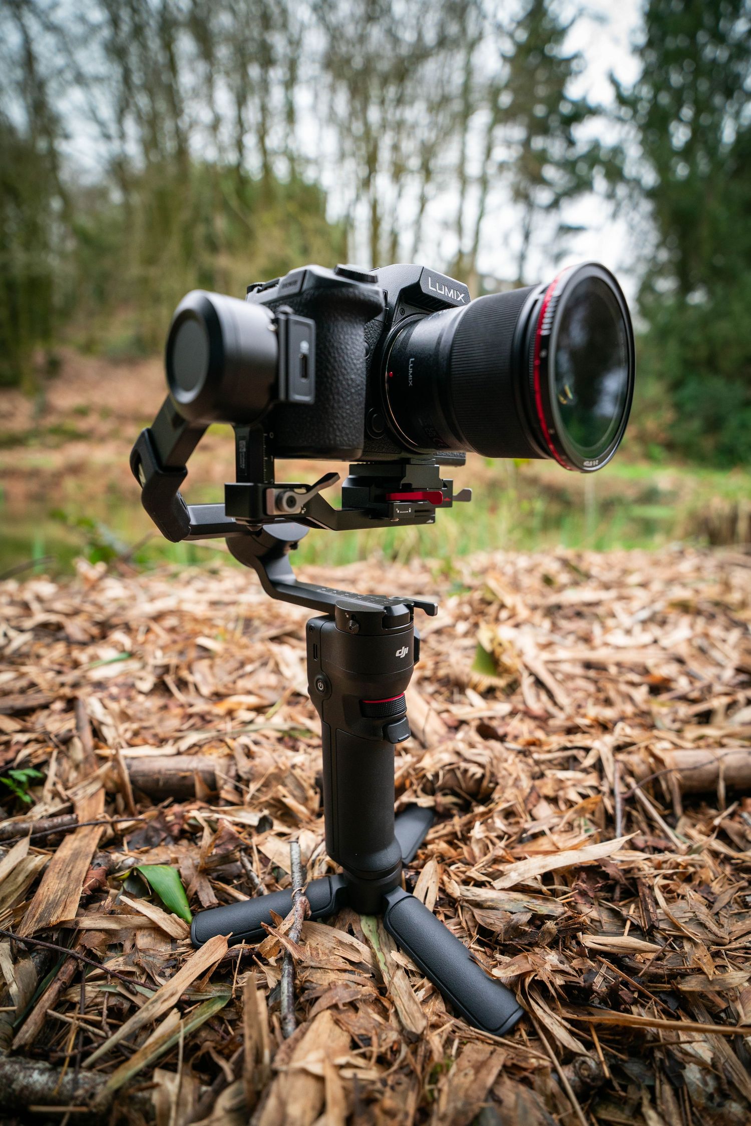Appareil photo hybride professionnel monté sur un stabilisateur sur pied sur un sol forestier recouvert de feuilles.