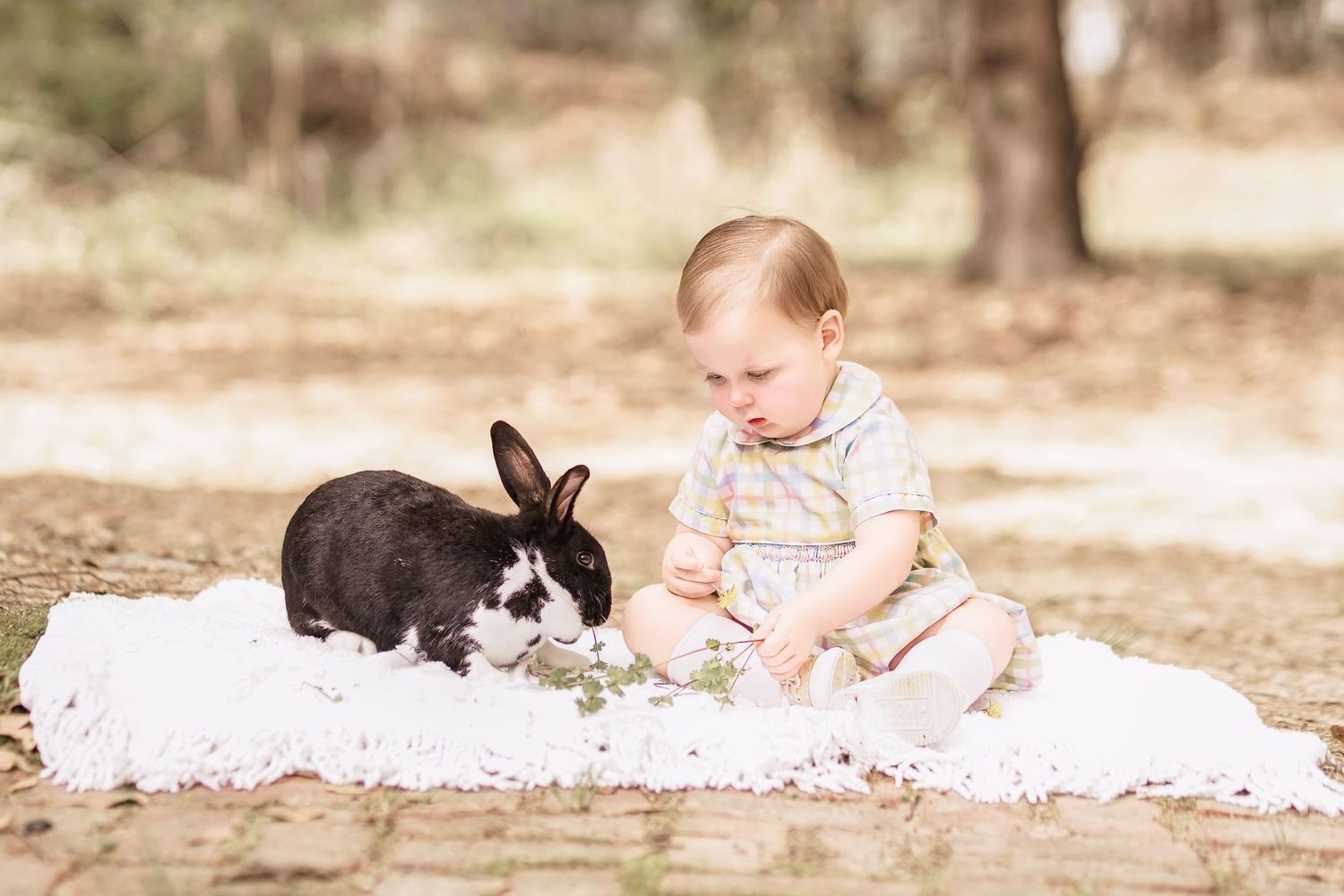 Child interacting with bunny during portrait session in South Carolina, soft natural light, whimsical heirloom style