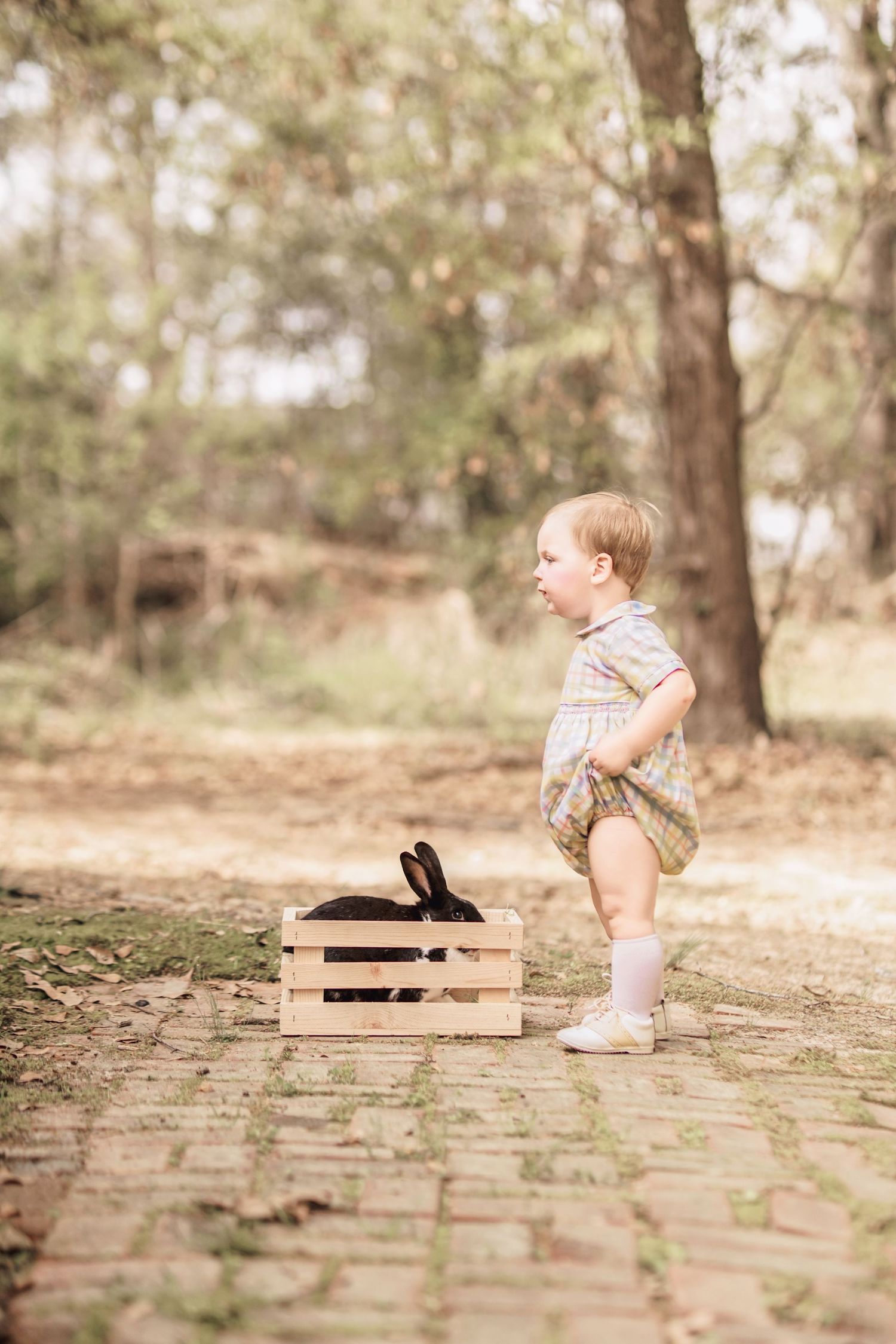 Child interacting with bunny during portrait session in South Carolina, soft natural light, whimsical heirloom style