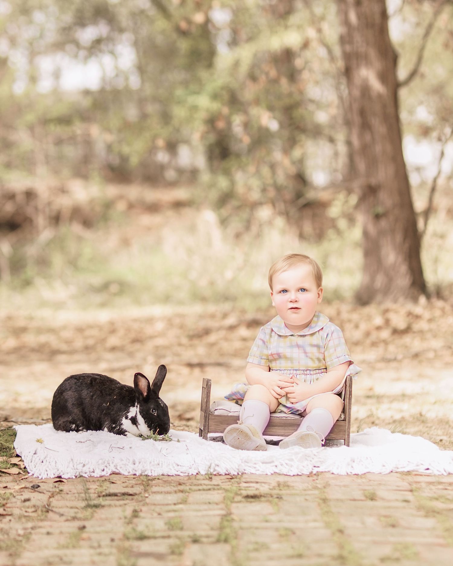 Child interacting with bunny during portrait session in South Carolina, soft natural light, whimsical heirloom style