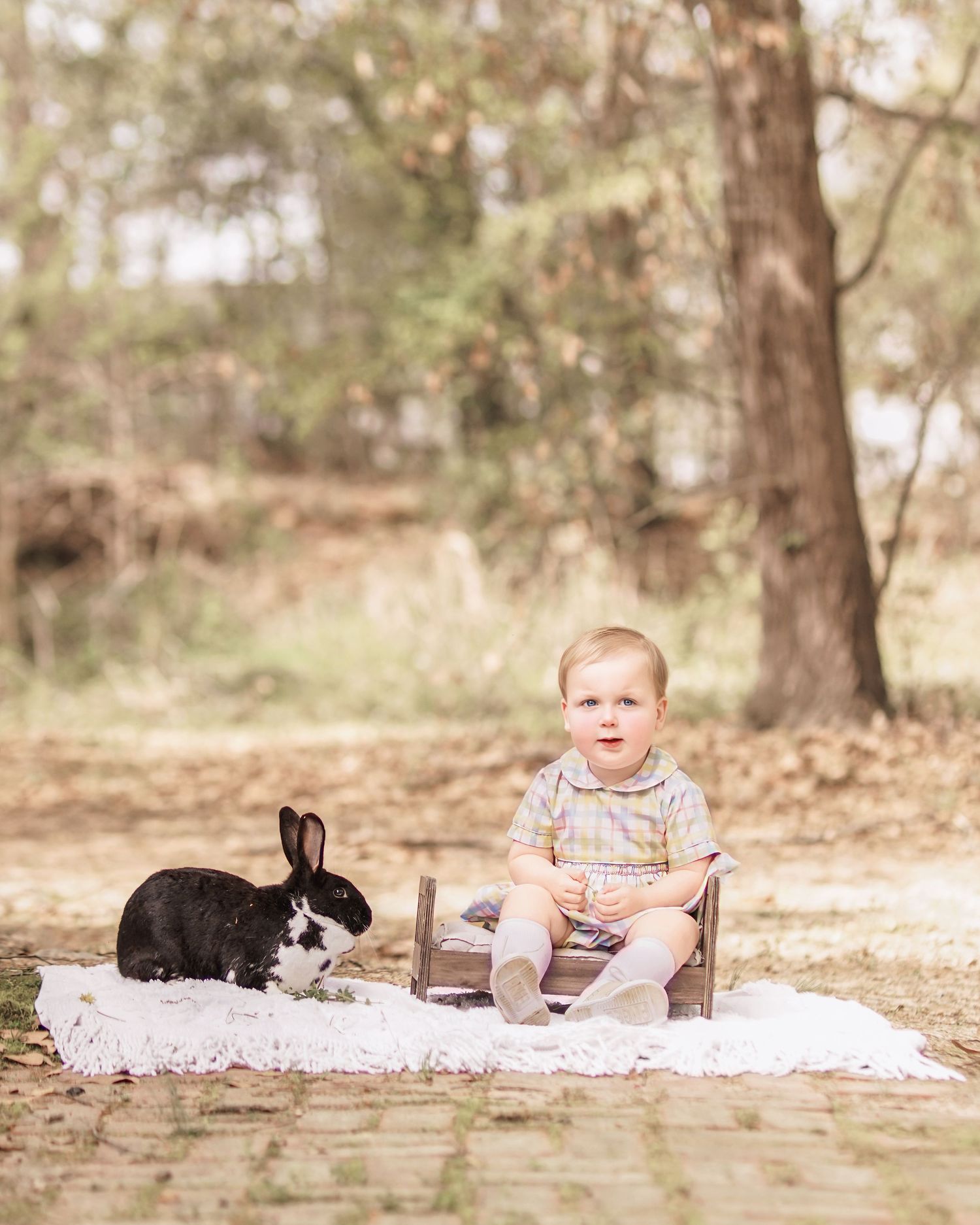 Child interacting with bunny during portrait session in South Carolina, soft natural light, whimsical heirloom style