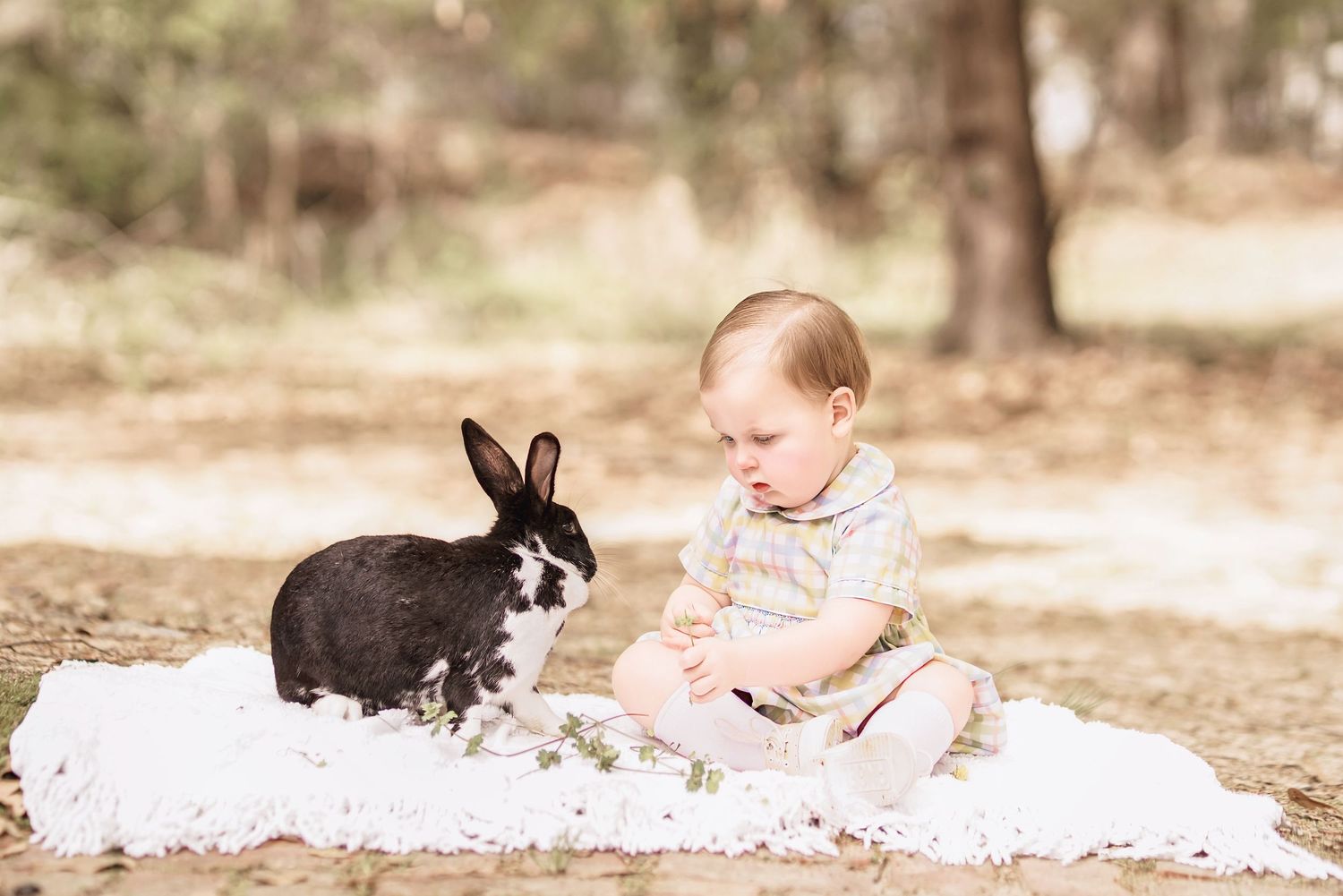 Child interacting with bunny during portrait session in South Carolina, soft natural light, whimsical heirloom style