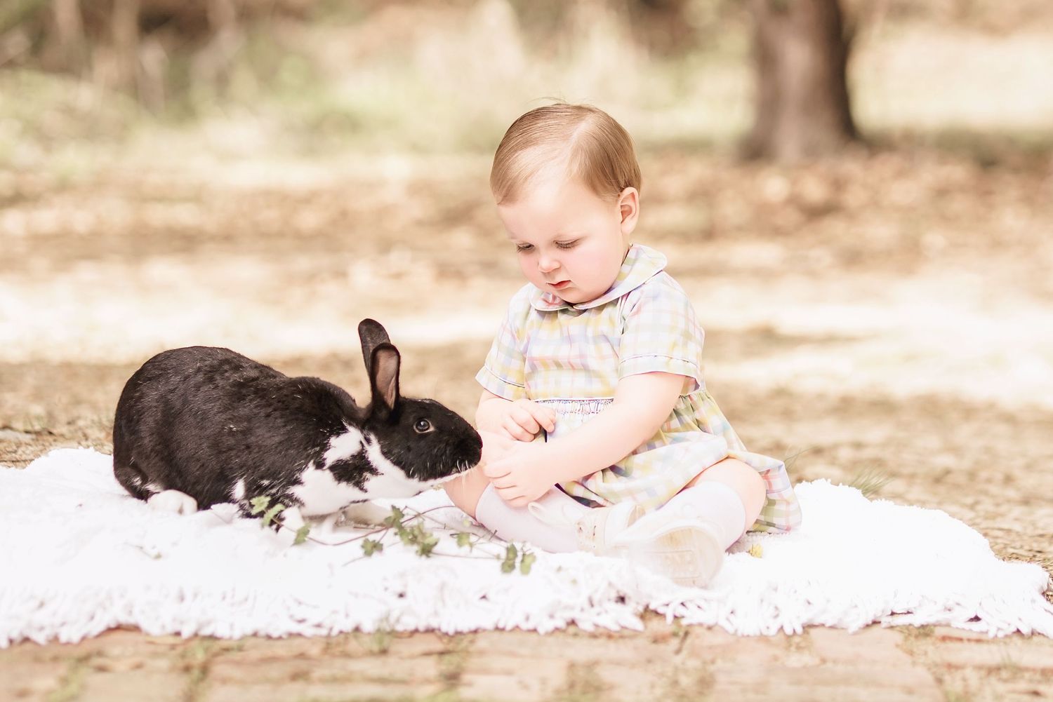 Child interacting with bunny during portrait session in South Carolina, soft natural light, whimsical heirloom style