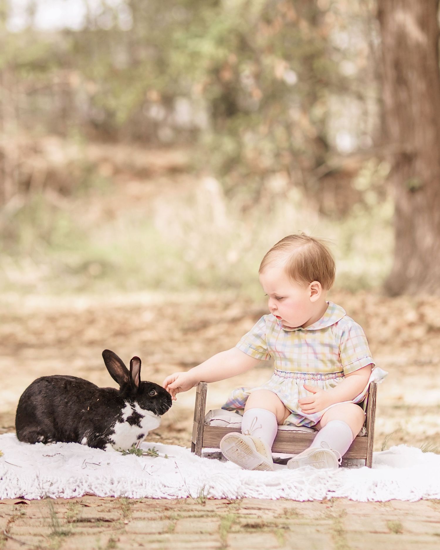 Child interacting with bunny during portrait session in South Carolina, soft natural light, whimsical heirloom style