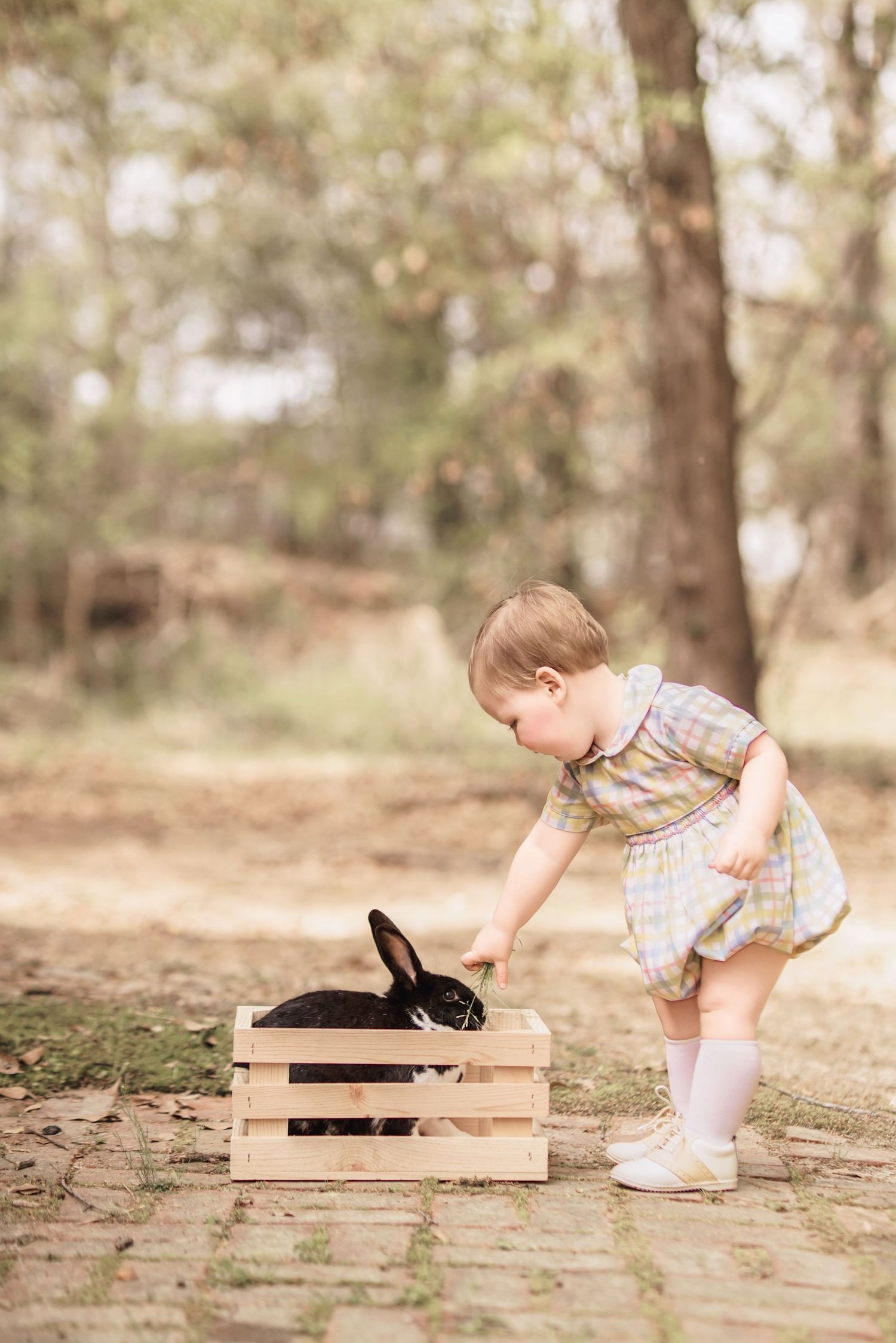 Child interacting with bunny during portrait session in South Carolina, soft natural light, whimsical heirloom style