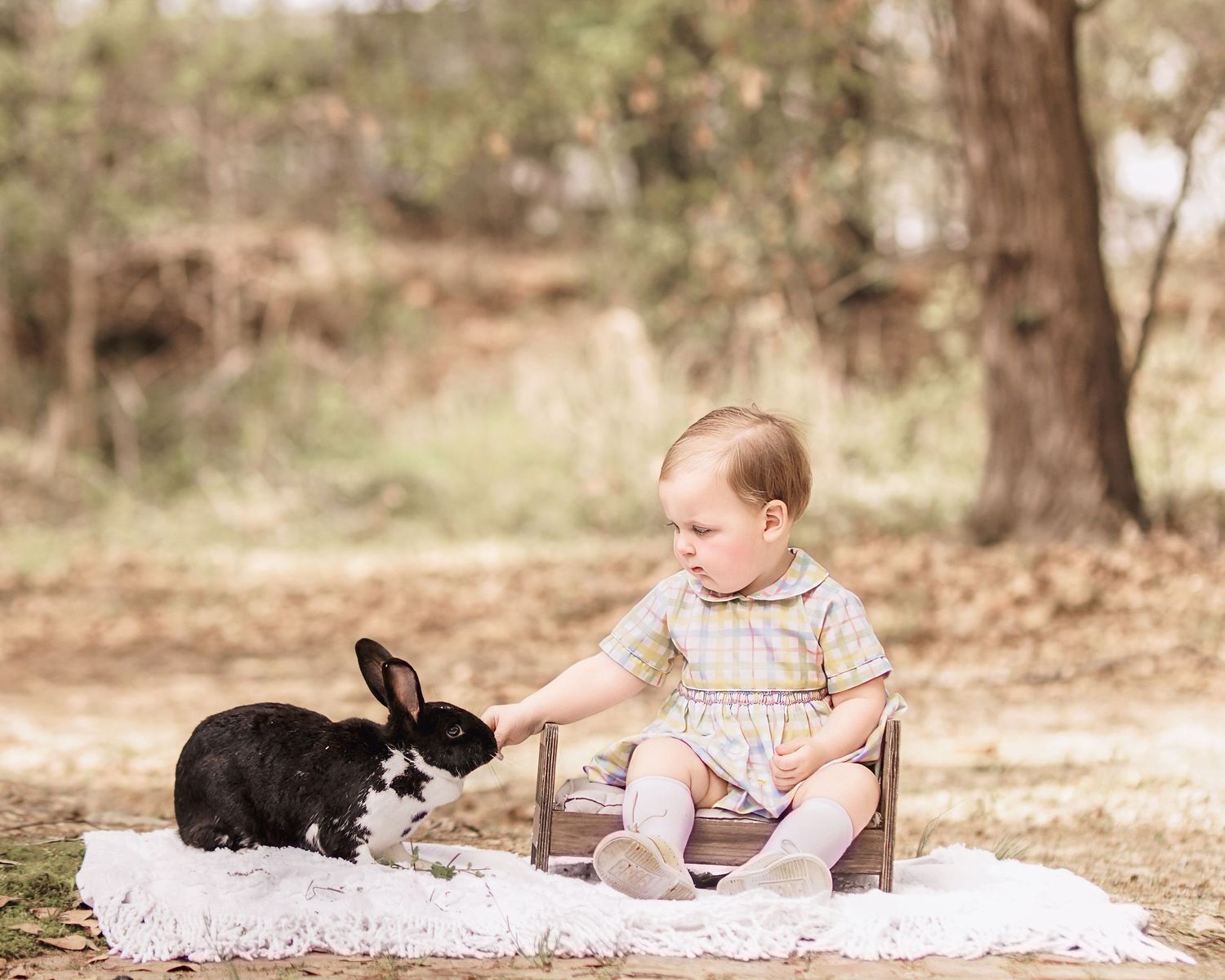 Child interacting with bunny during portrait session in South Carolina, soft natural light, whimsical heirloom style