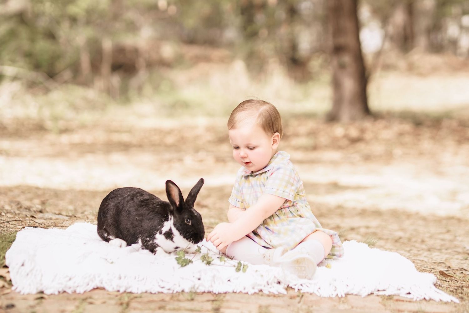 Child interacting with bunny during portrait session in South Carolina, soft natural light, whimsical heirloom style