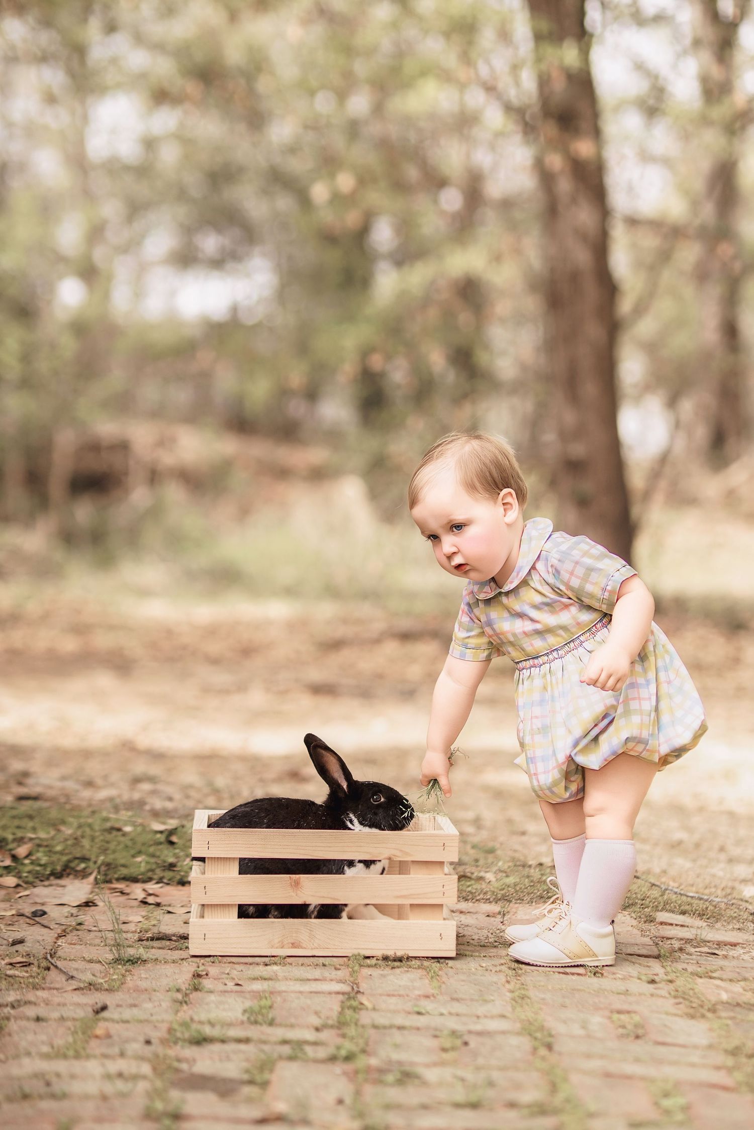 Child interacting with bunny during portrait session in South Carolina, soft natural light, whimsical heirloom style
