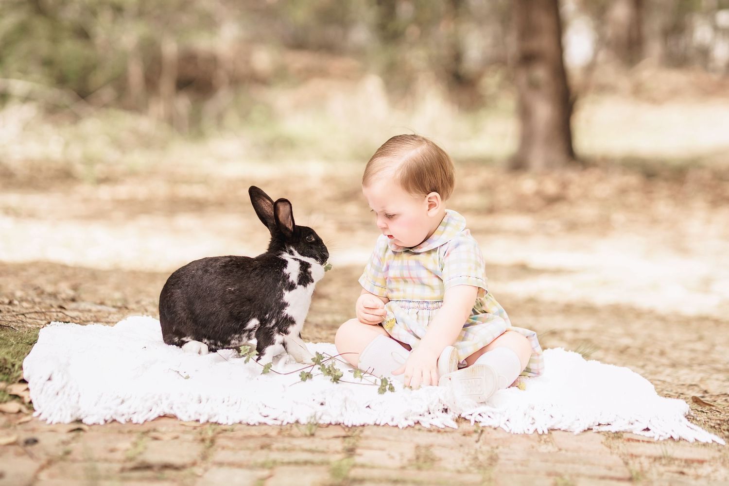 Child interacting with bunny during portrait session in South Carolina, soft natural light, whimsical heirloom style