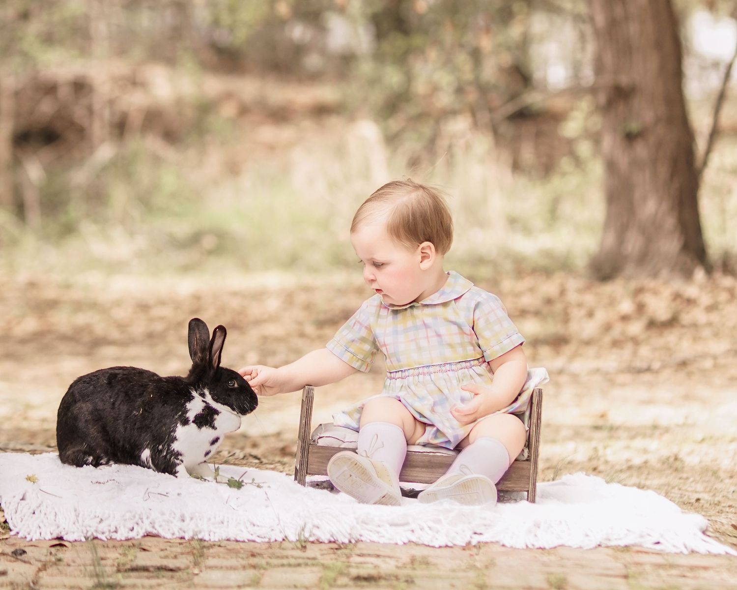 Child interacting with bunny during portrait session in South Carolina, soft natural light, whimsical heirloom style