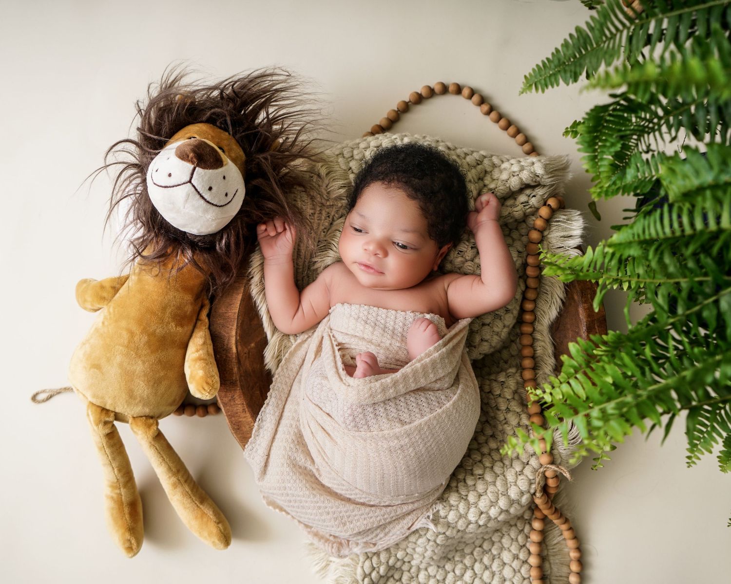 Newborn baby portrait in South Carolina, soft natural light, cozy wrapped infant photography, timeless heirloom style