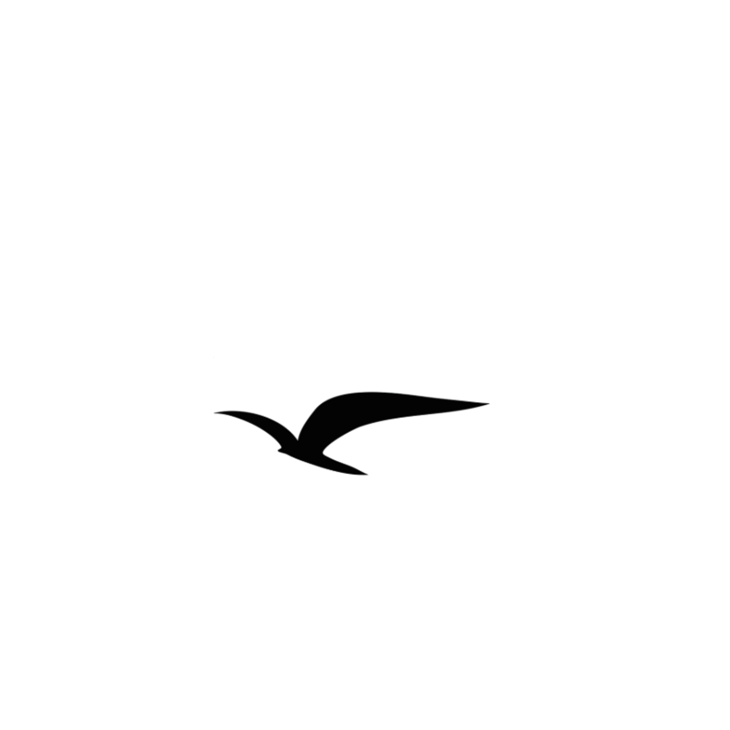 A dark silhouette of a person's head and shoulders against a black background.