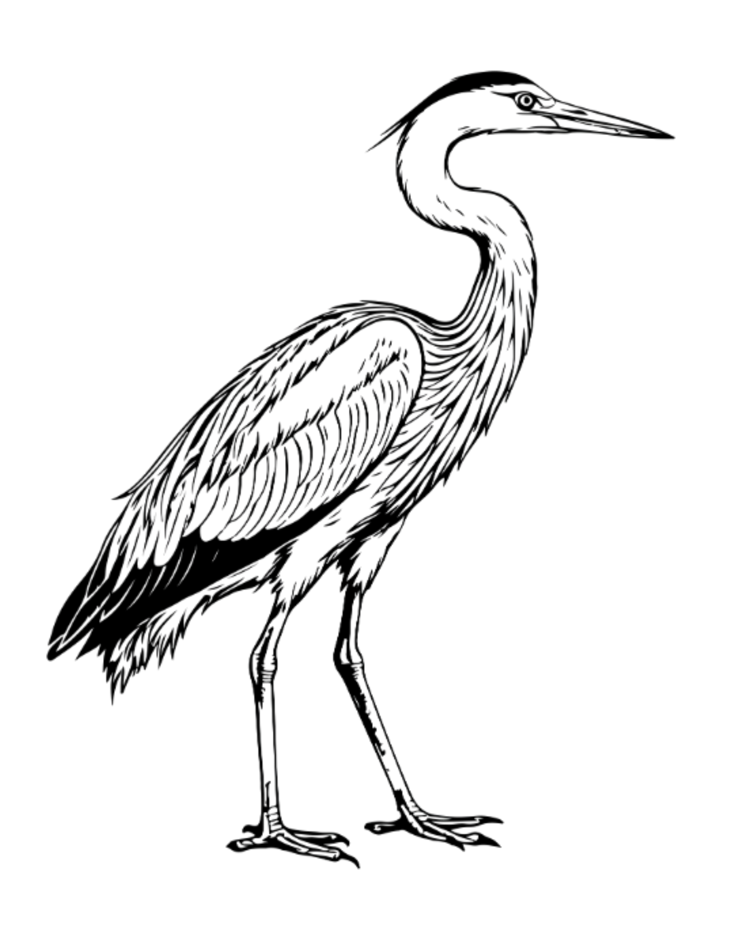 A grainy black and white drawing of an owl silhouetted against a dark background.