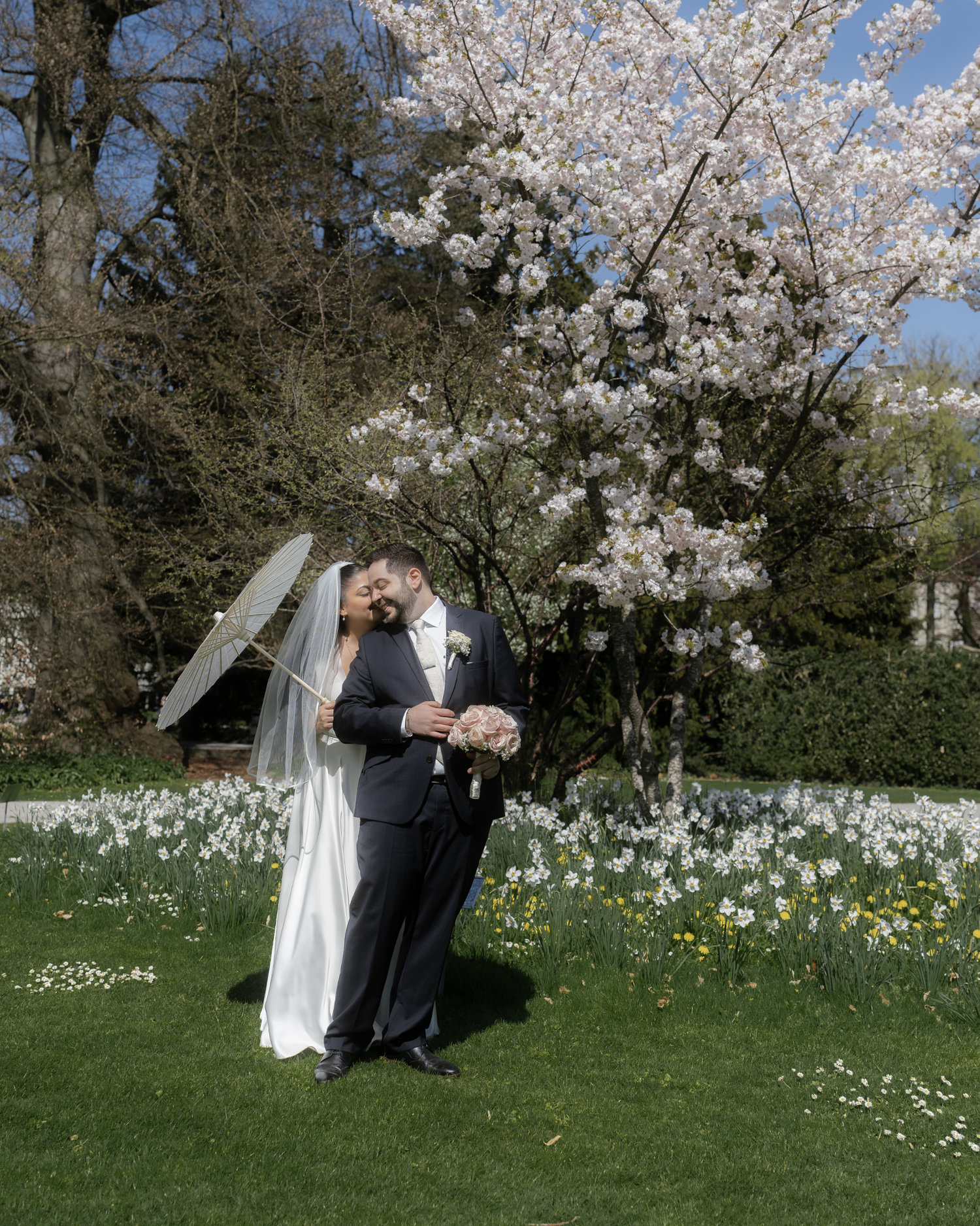 Bride and groom kissing under blooming cherry blossom tree surrounded by daffodils in a lush spring garden.