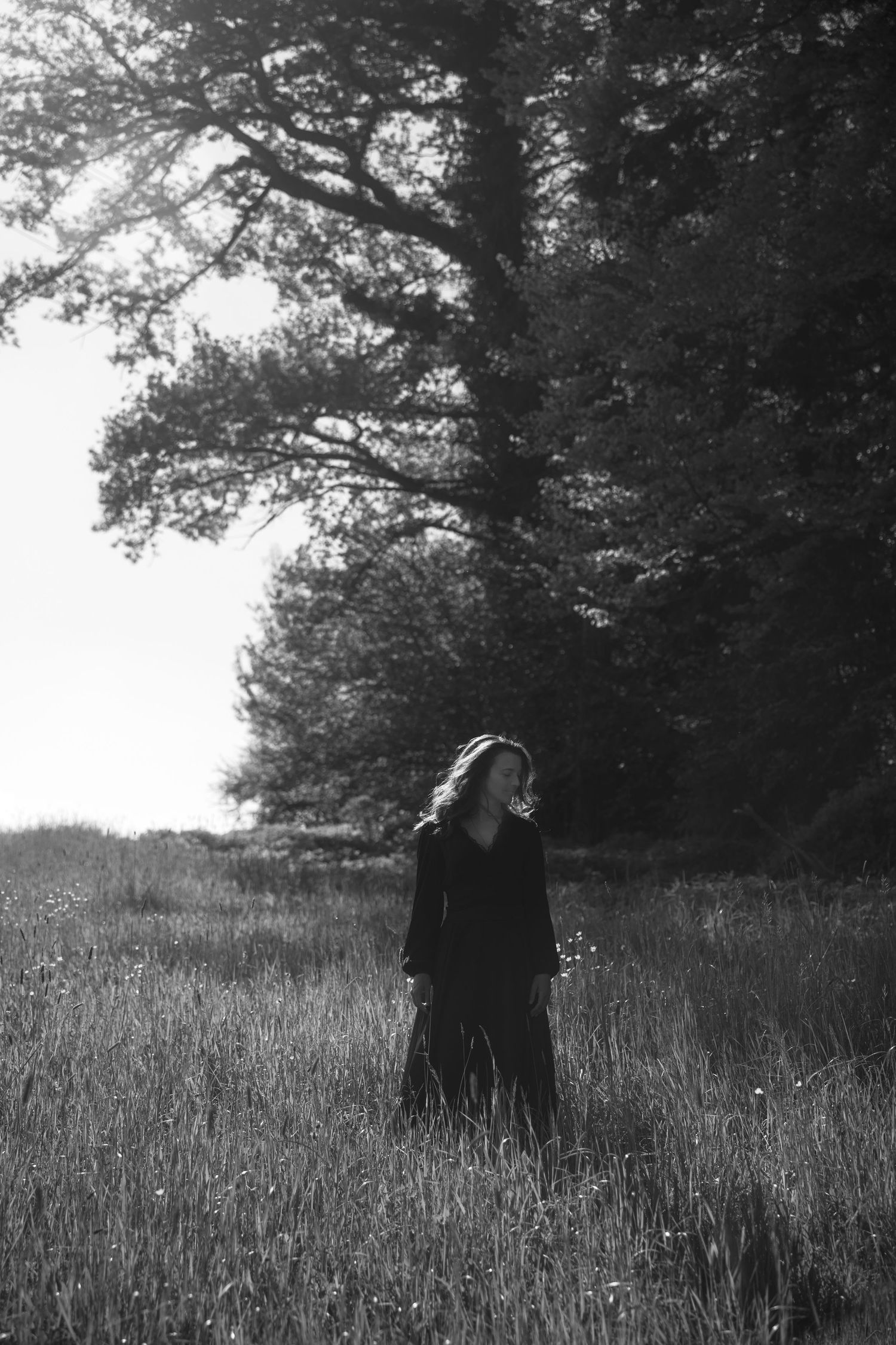 A silhouetted figure stands in a field of tall grass beneath sprawling tree branches.