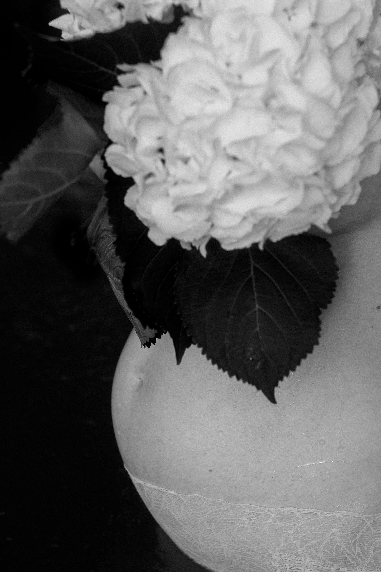 Black and white still life of white hydrangea flowers and babybelly with dramatic shadows.