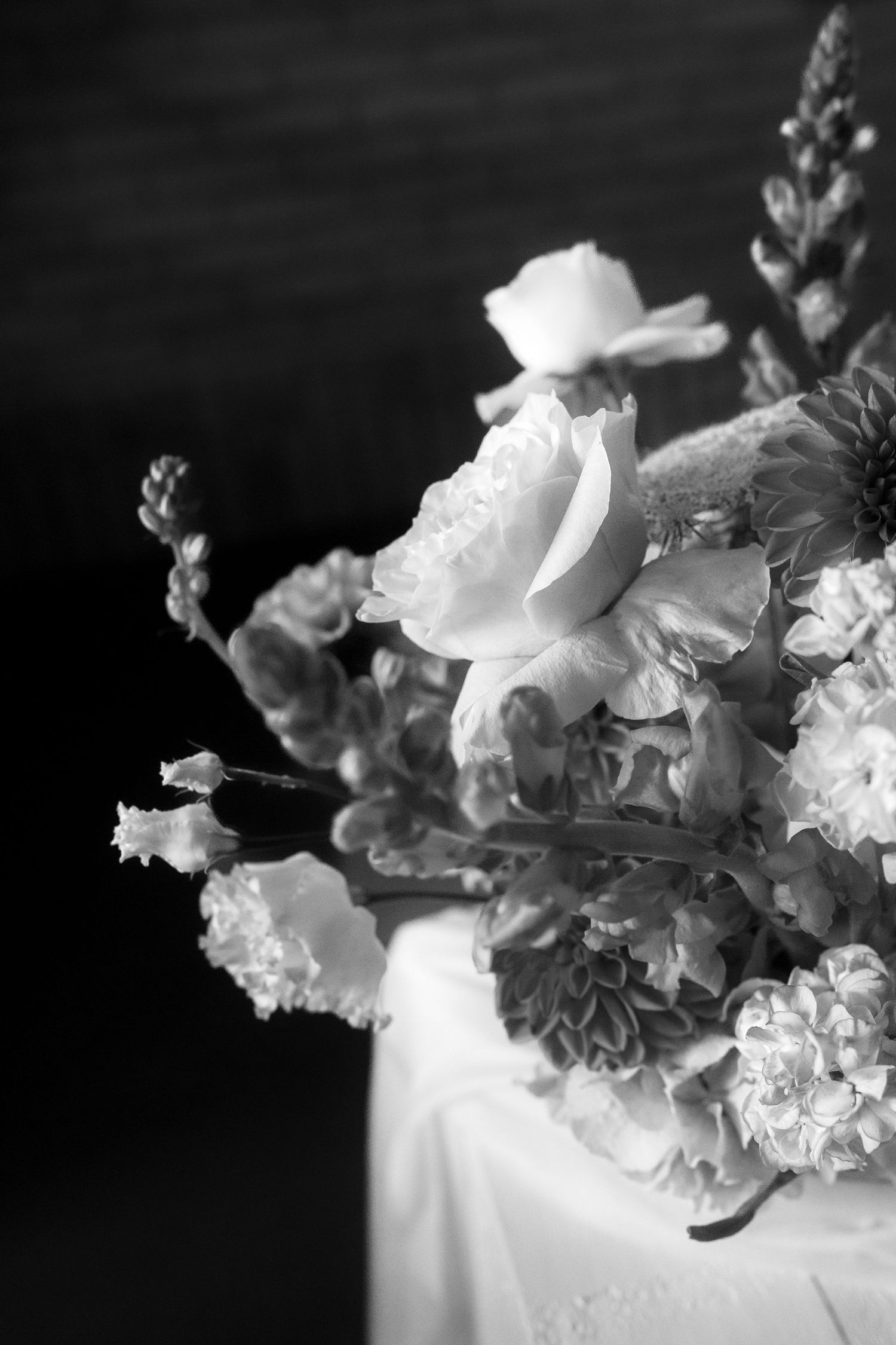 Close-up of delicate white flowers and petals arranged against a dark background.