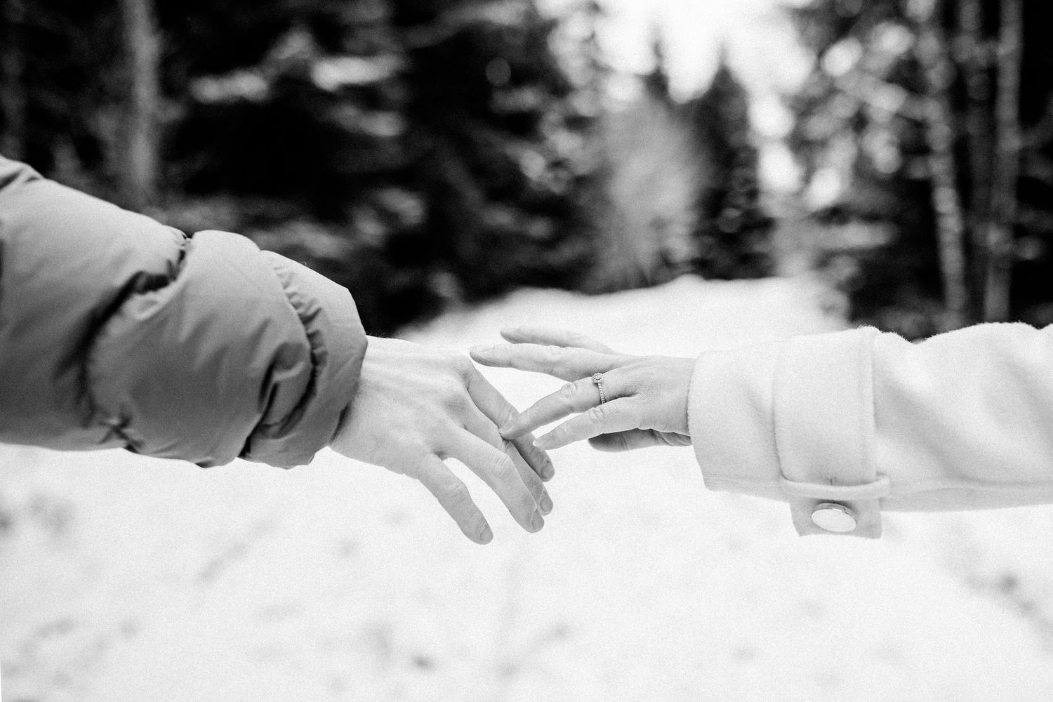 A series of black and white medical images showing hands performing ultrasound scans on patients.