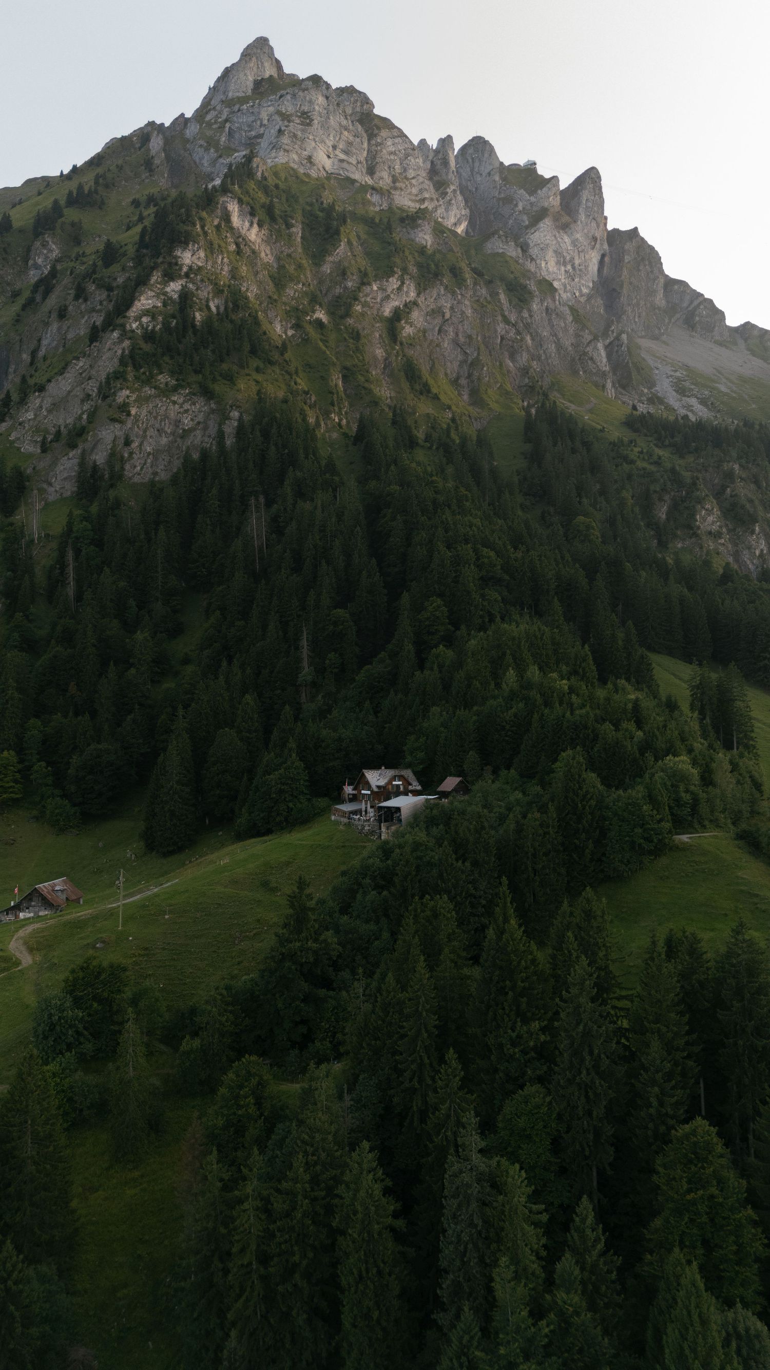 Aerial view of a mountain chalet nestled among dense green pine forests below dramatic rocky Alpine peaks.