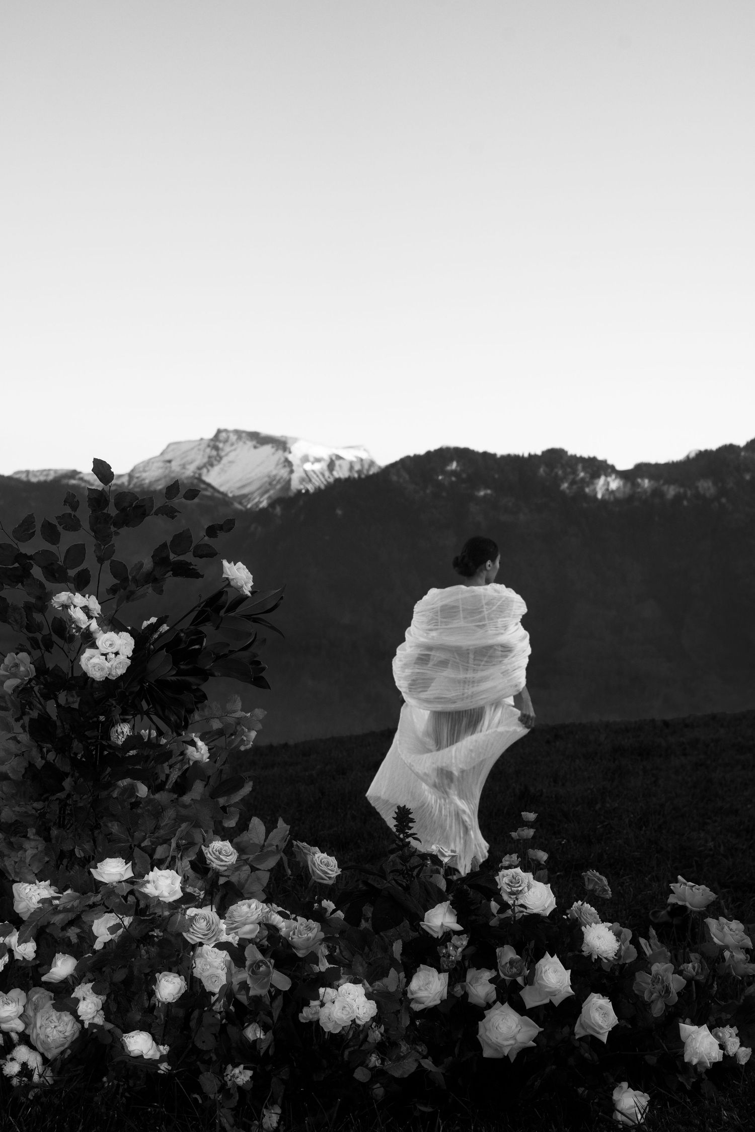 Black and white photo of a bride in flowing veil among roses with mountain backdrop at dusk.