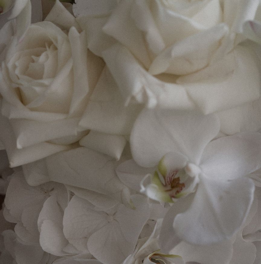Close-up view of delicate white rose petals arranged in a soft, romantic pattern.